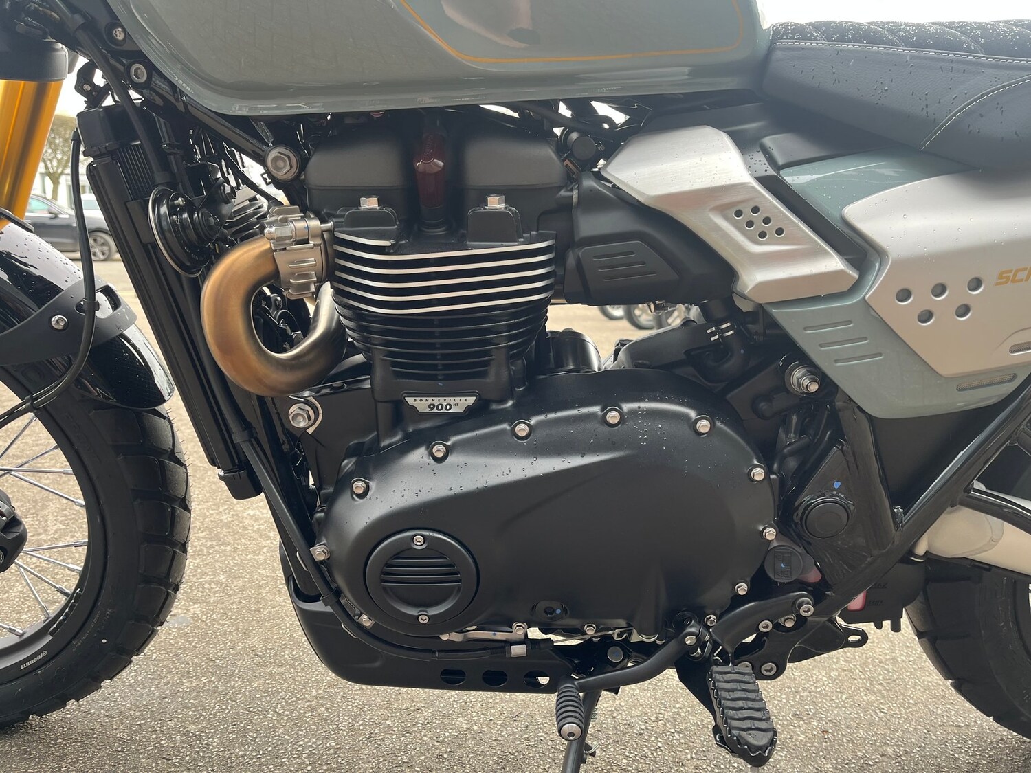 Triumph SCRAMBLER 900