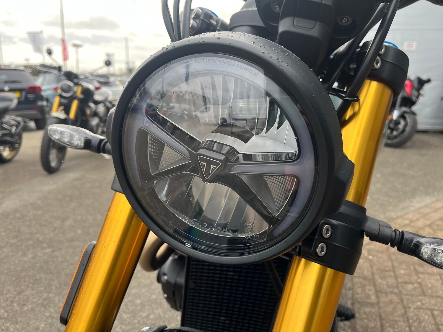 Triumph SCRAMBLER 900