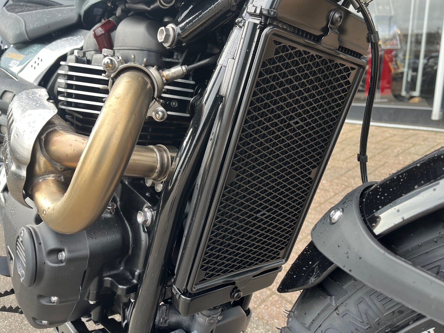 Triumph SCRAMBLER 900