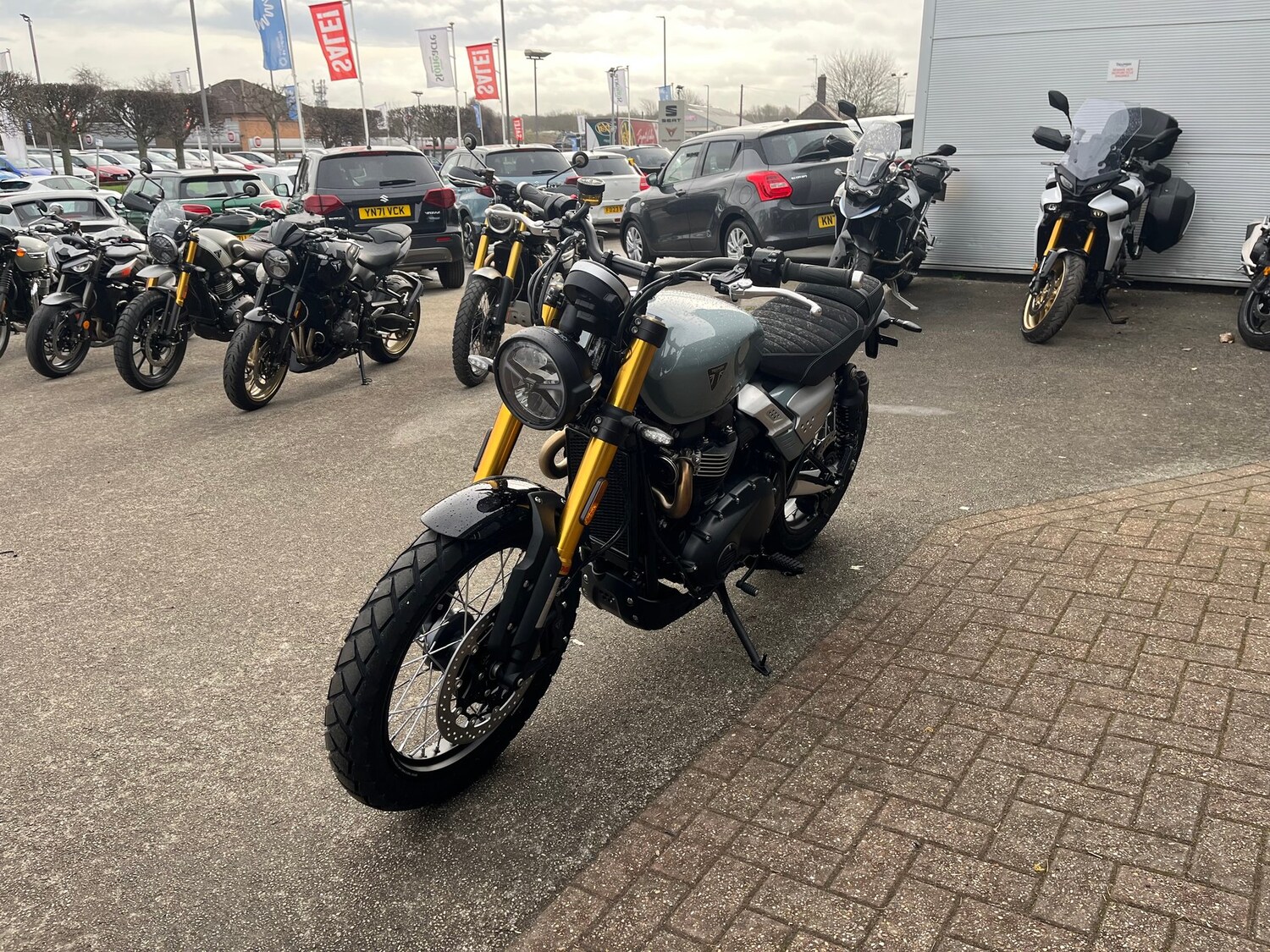 Triumph SCRAMBLER 900
