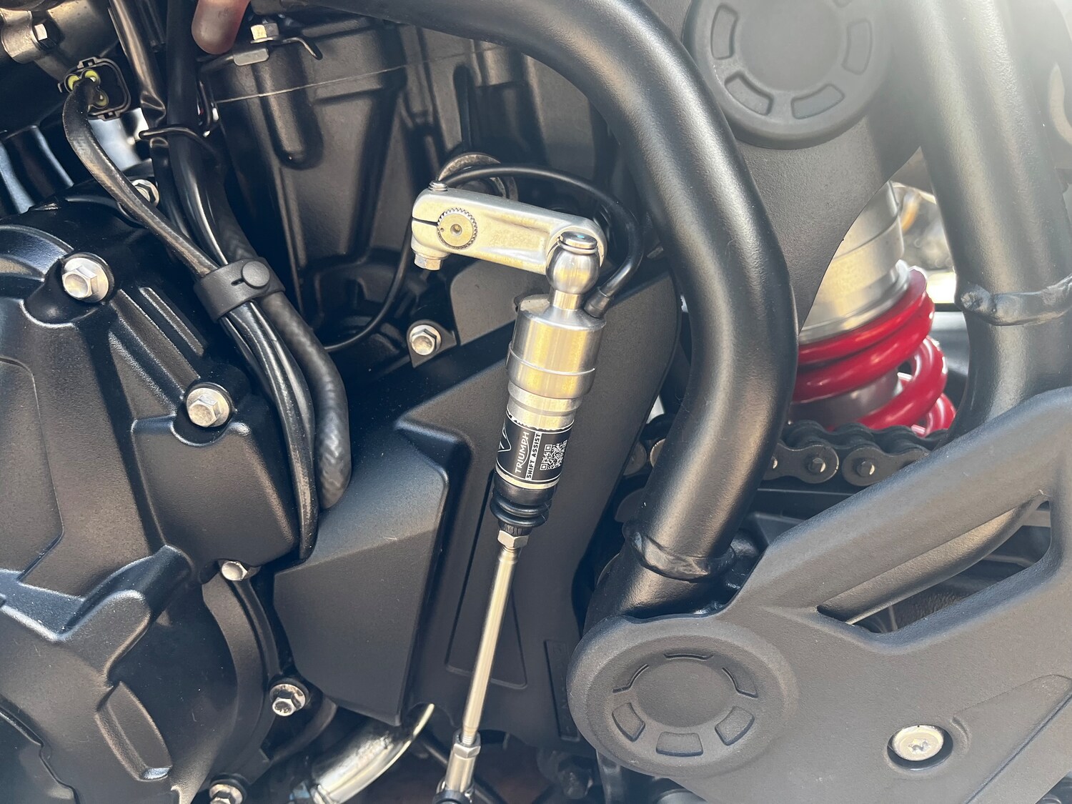 Used Triumph TIGER 900 GT PRO 2024 for sale - 78770560: Photo 31