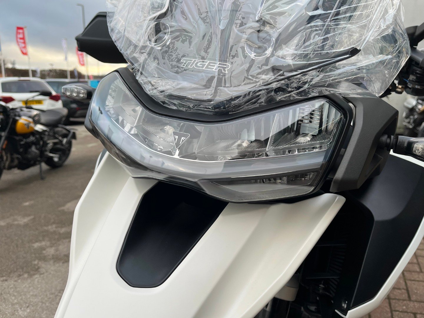 Triumph TIGER 1200 ALPINE EDITION