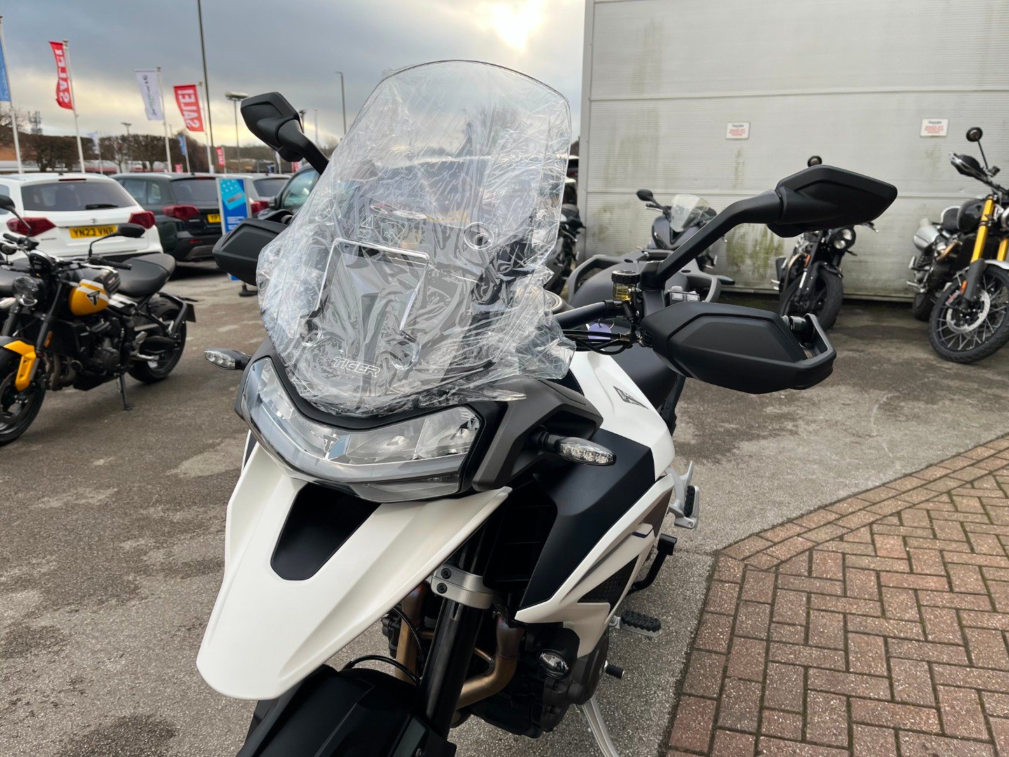 Triumph TIGER 1200 ALPINE EDITION