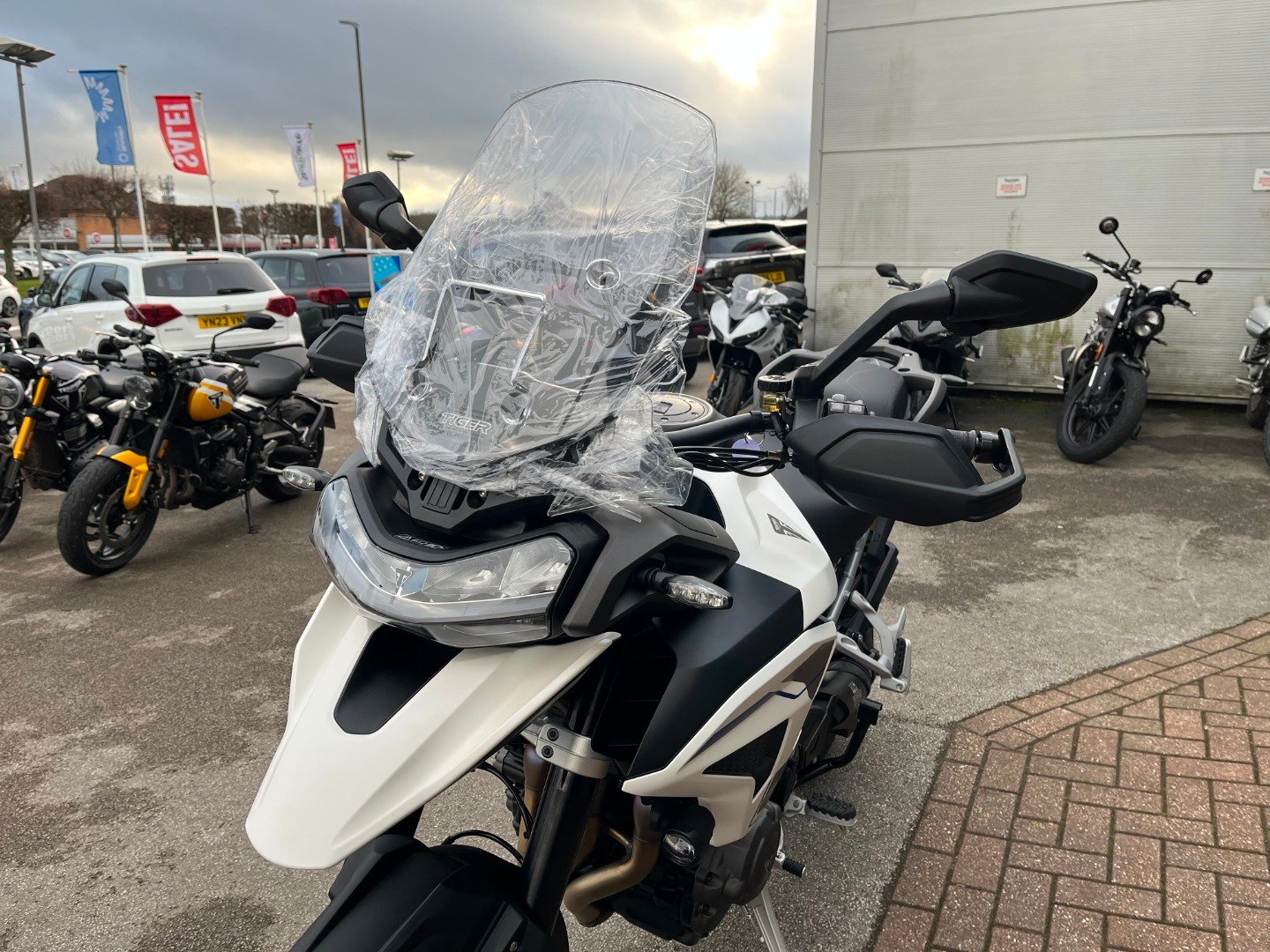 Triumph TIGER 1200 ALPINE EDITION