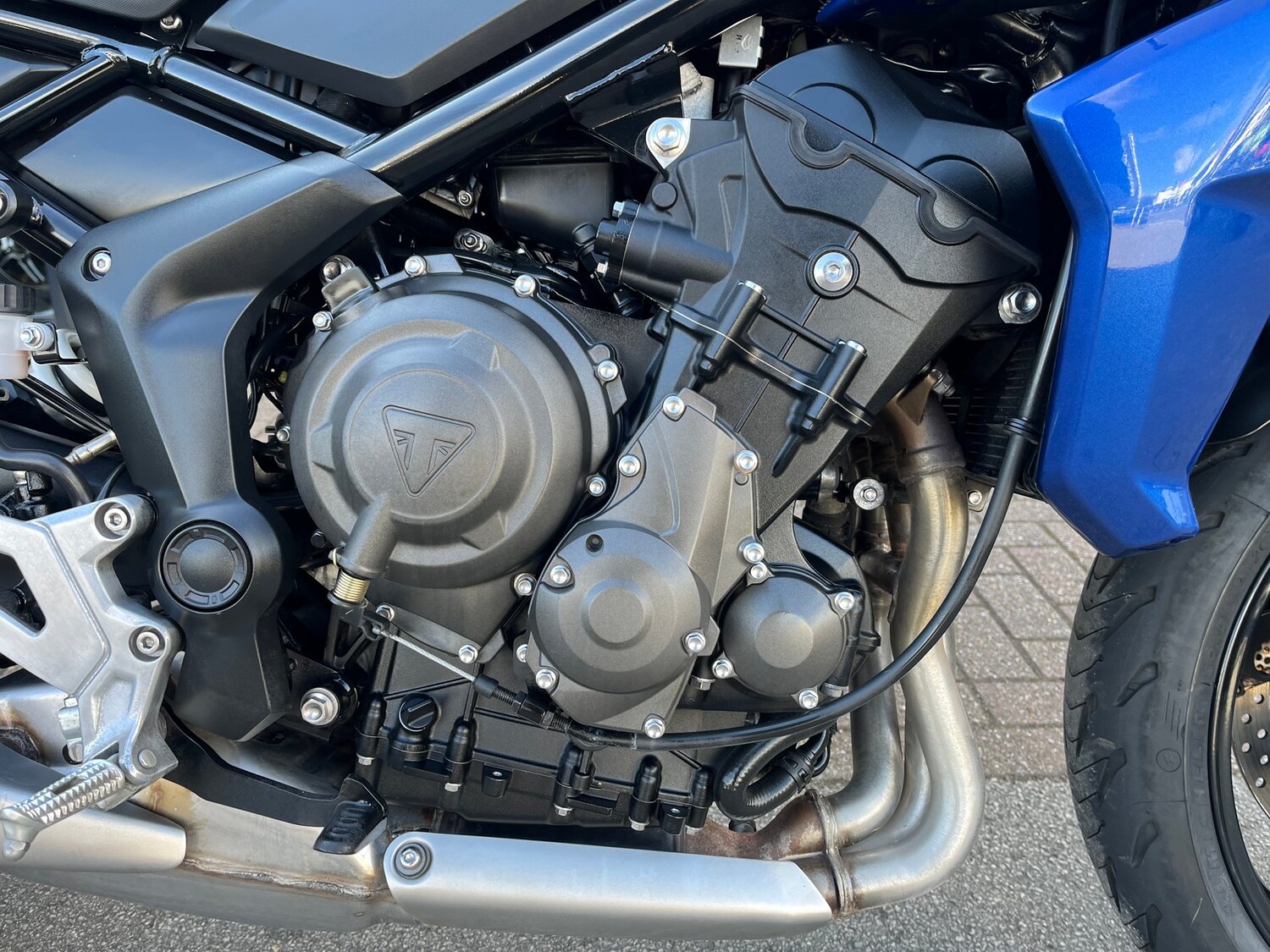 Triumph TIGER