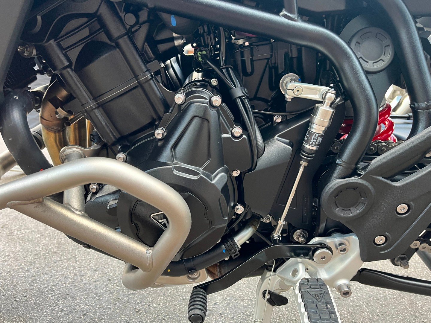 Triumph TIGER 900 ALPINE EDITION