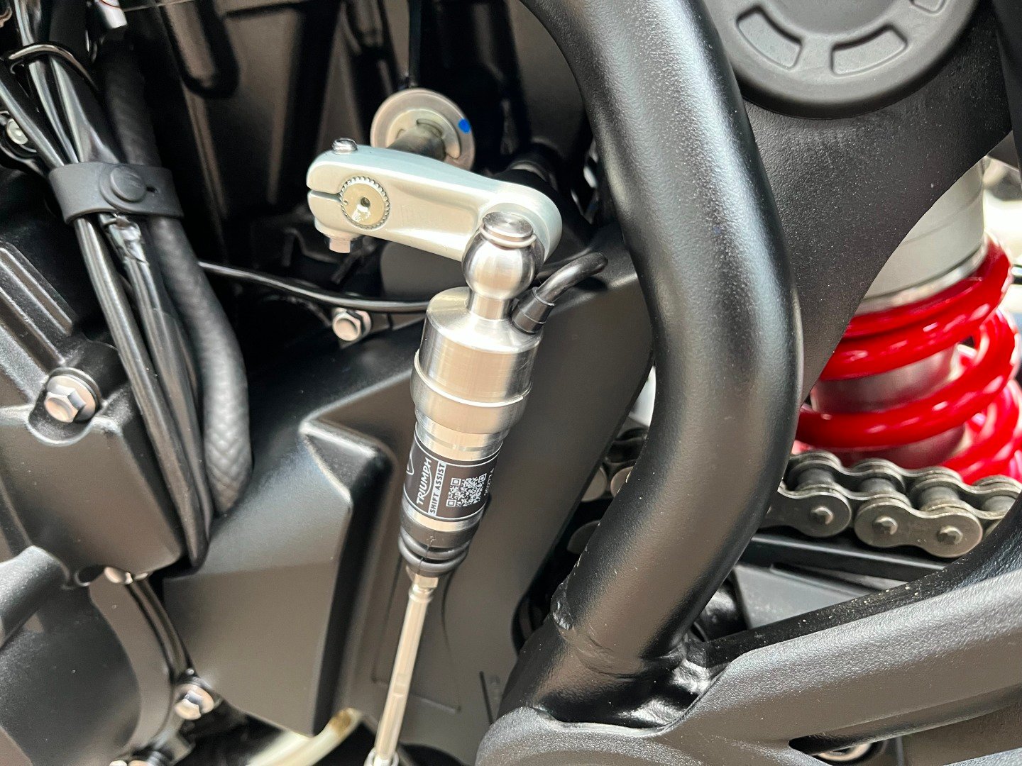 Triumph TIGER 900 ALPINE EDITION