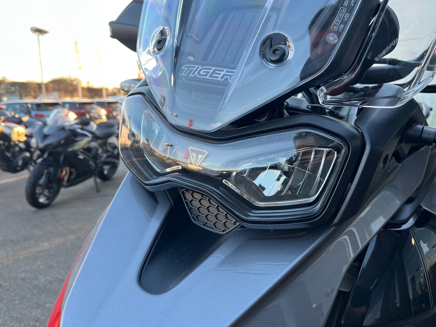 Triumph TIGER 900 GT PRO