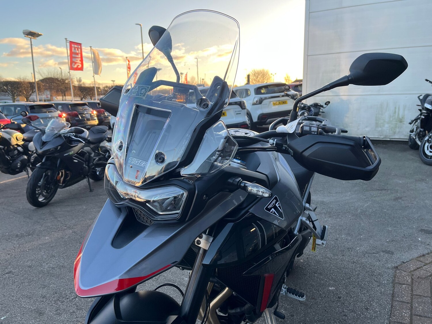 Triumph TIGER 900 GT PRO