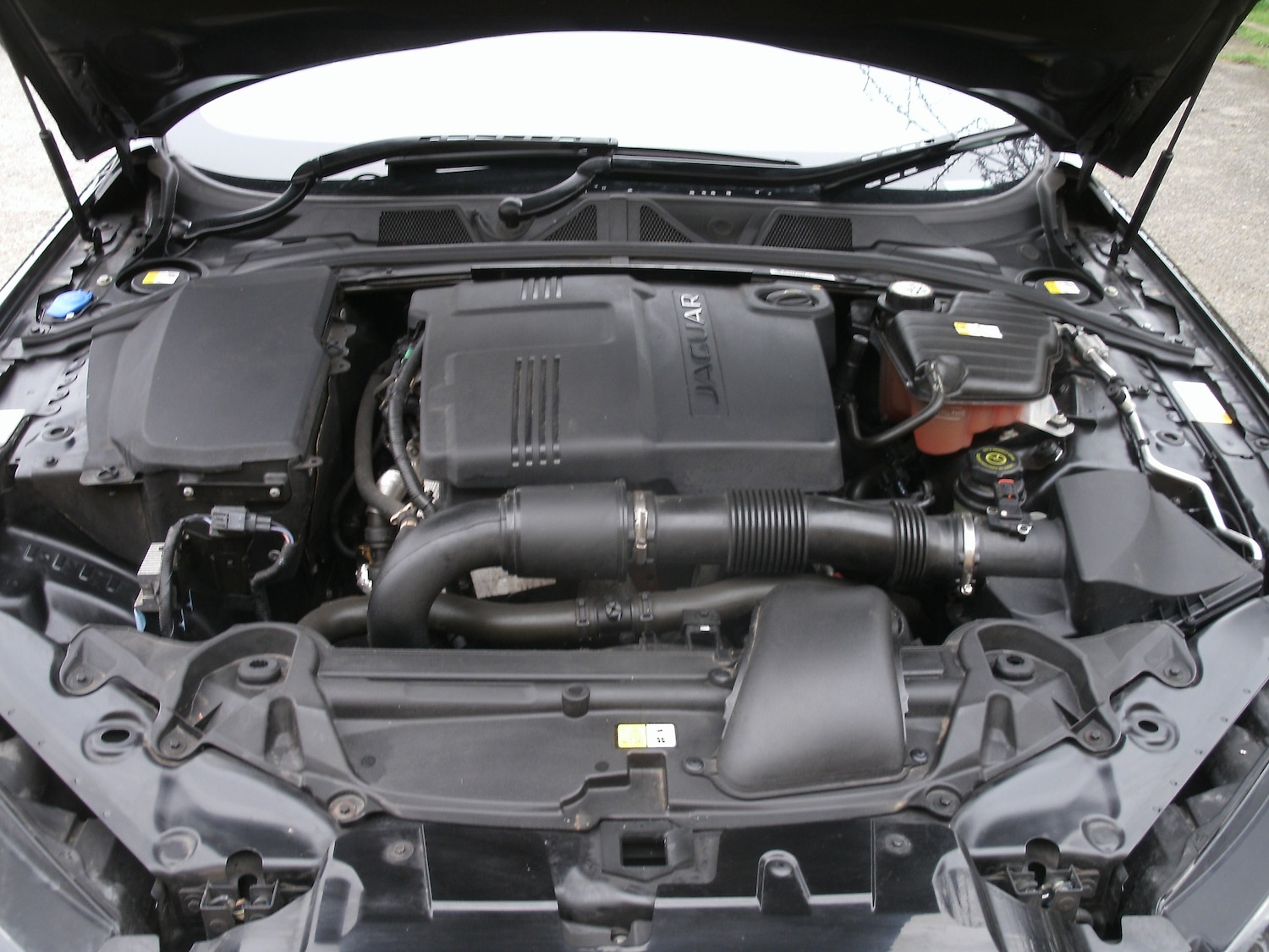 Used Jaguar XF 2014 for sale - 77656521: Photo 19