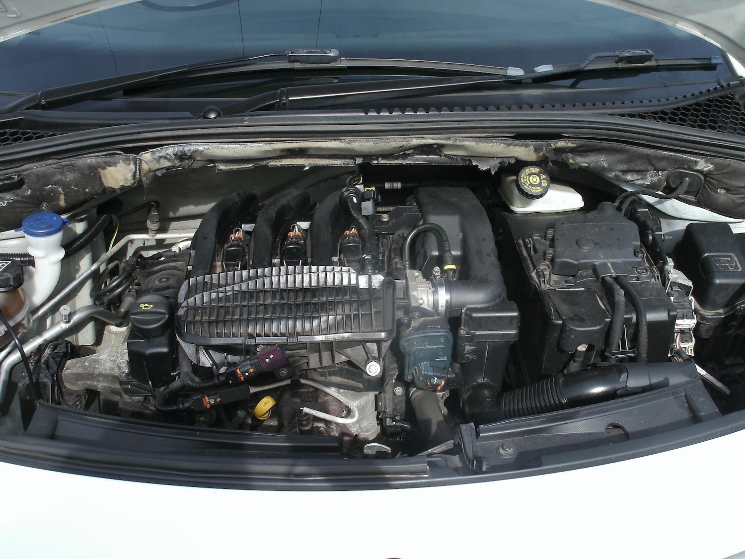 Used Citroen C3 2017 for sale - 78133690: Photo 13