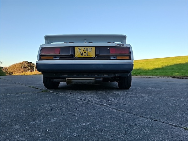 Used Toyota MR2 2024 for sale - 75058301: Photo 5