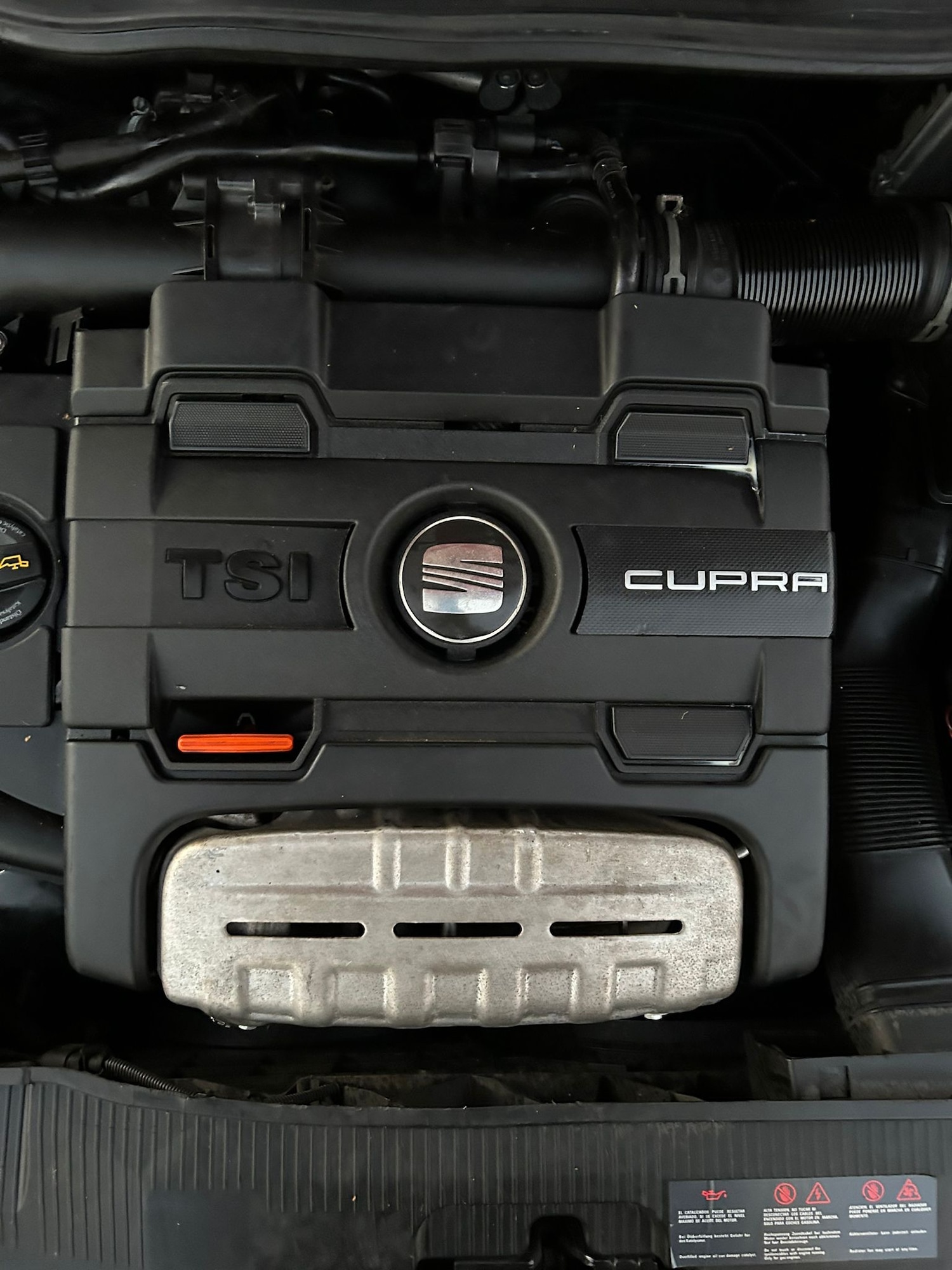 Used SEAT Ibiza 2010 for sale - 76670920: Photo 5