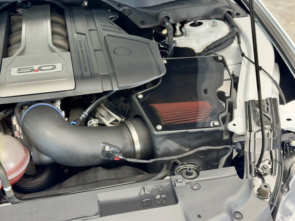 Used Ford Mustang 2019 for sale - 76105480: Photo 24