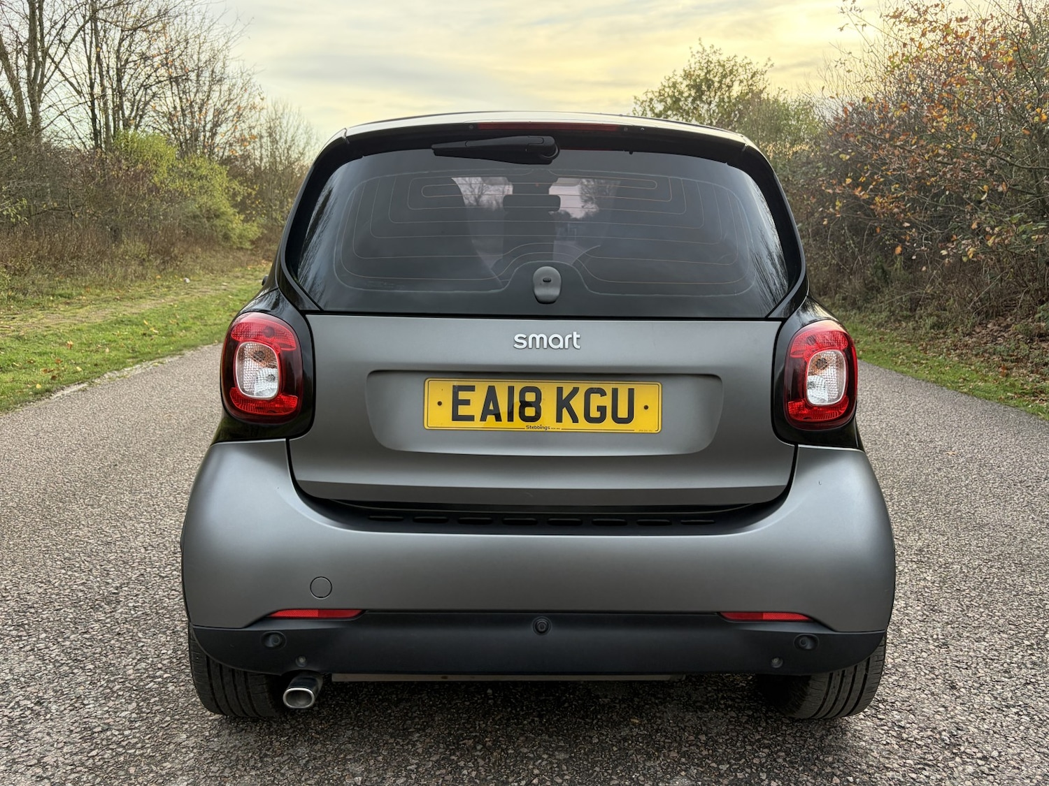 Used smart fortwo 2018 for sale - 76565144: Photo 5