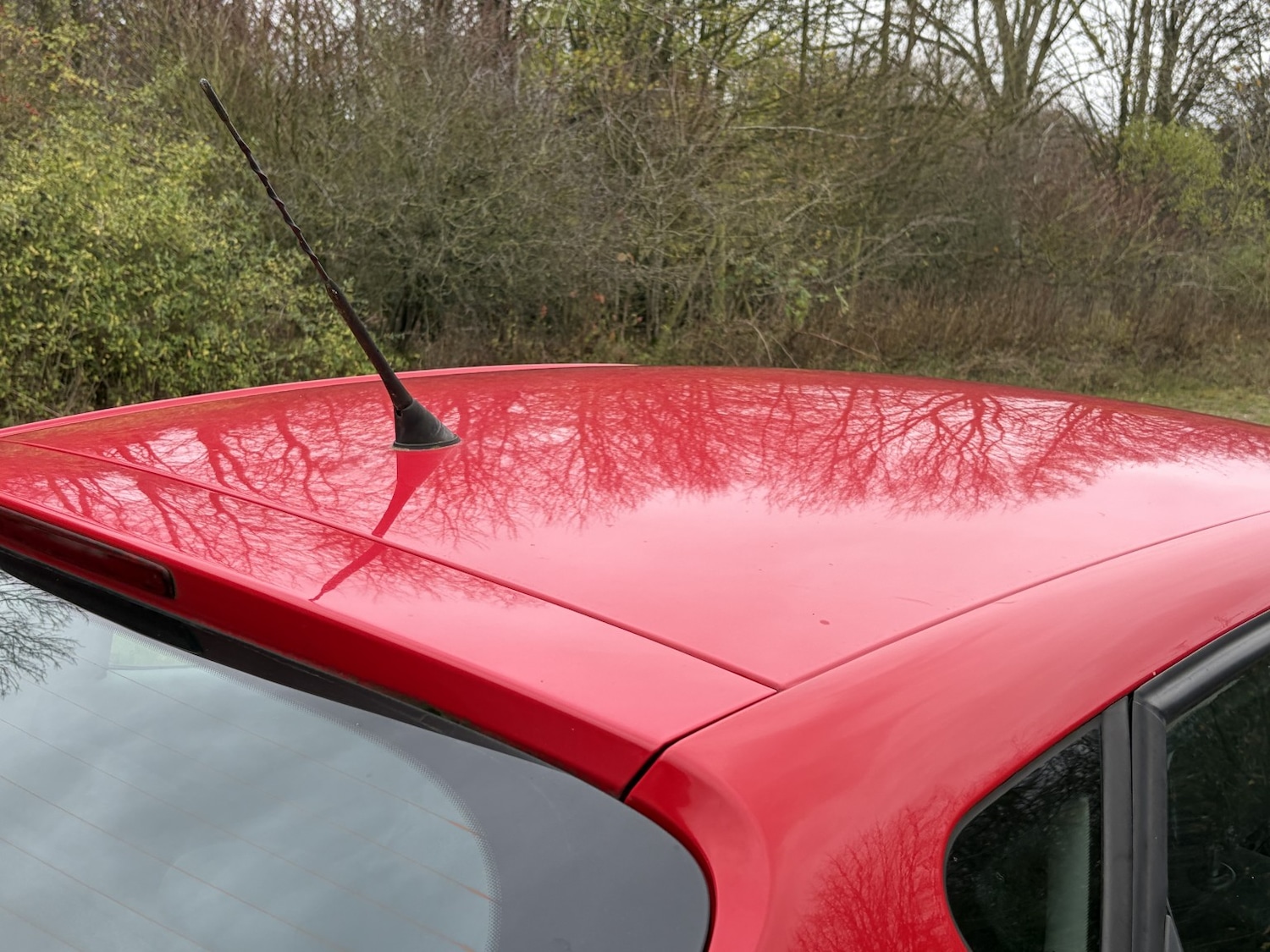 Used SEAT Ibiza 2009 for sale - 76692822: Photo 13