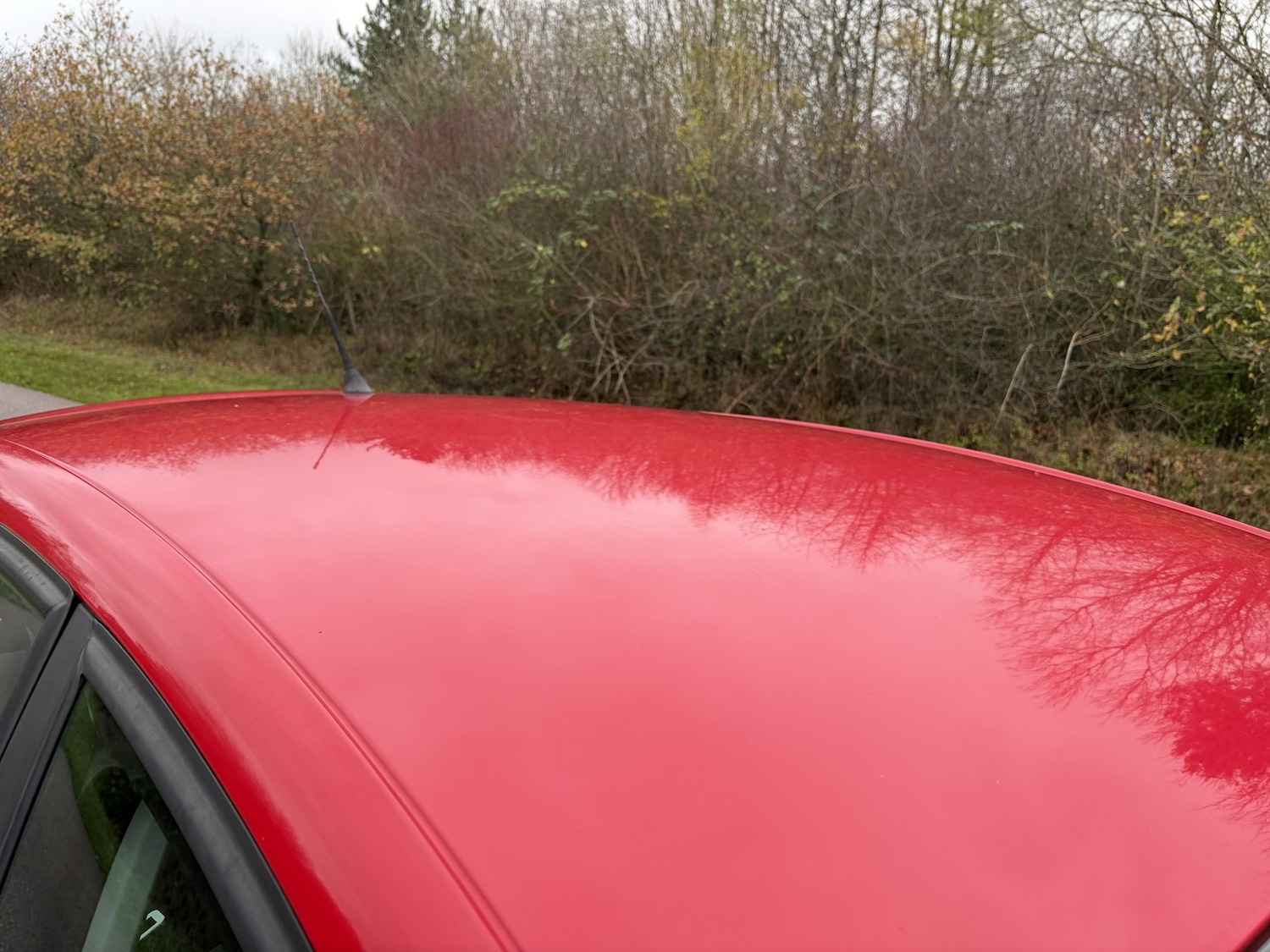 Used SEAT Ibiza 2009 for sale - 76692822: Photo 15