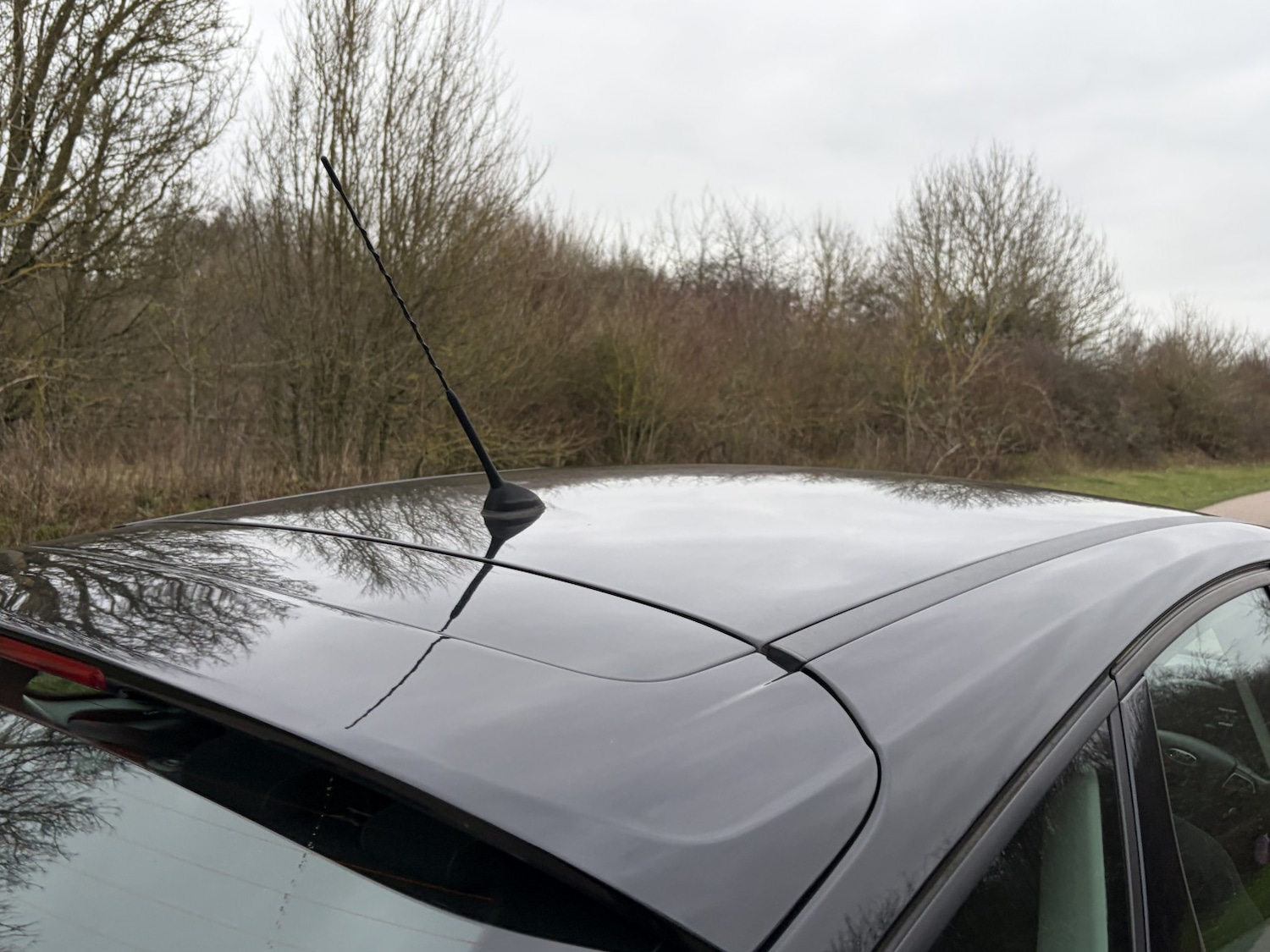 Used Ford Focus 2015 for sale - 77603383: Photo 13