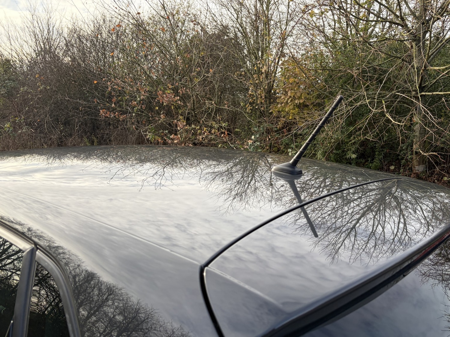 Used Volkswagen Polo 2016 for sale - 76904637: Photo 14