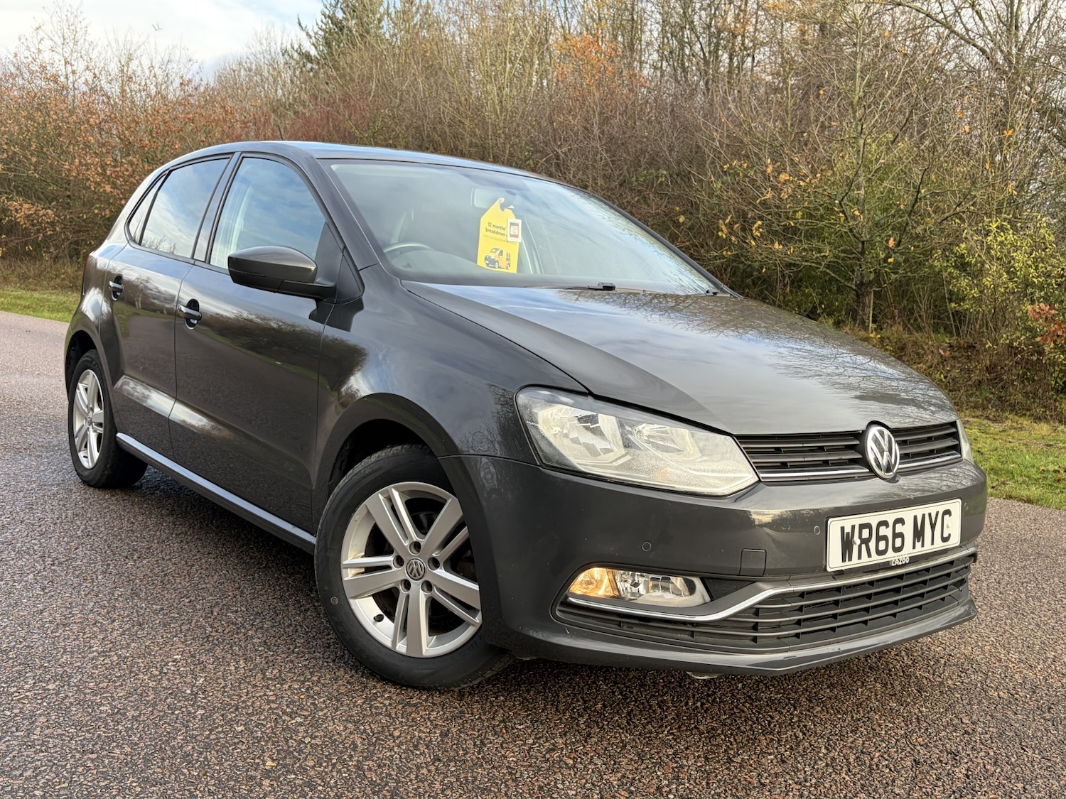 Used Volkswagen Polo 2016 for sale - 76904637: Photo 3