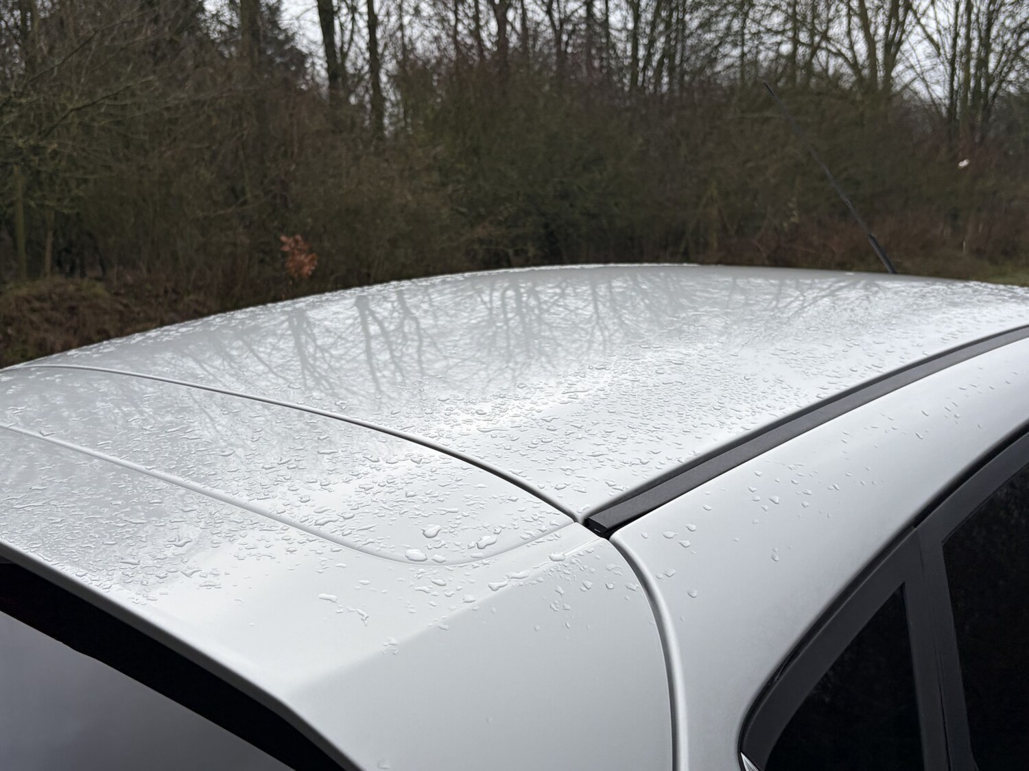 Used Ford Fiesta 2016 for sale - 77516120: Photo 17