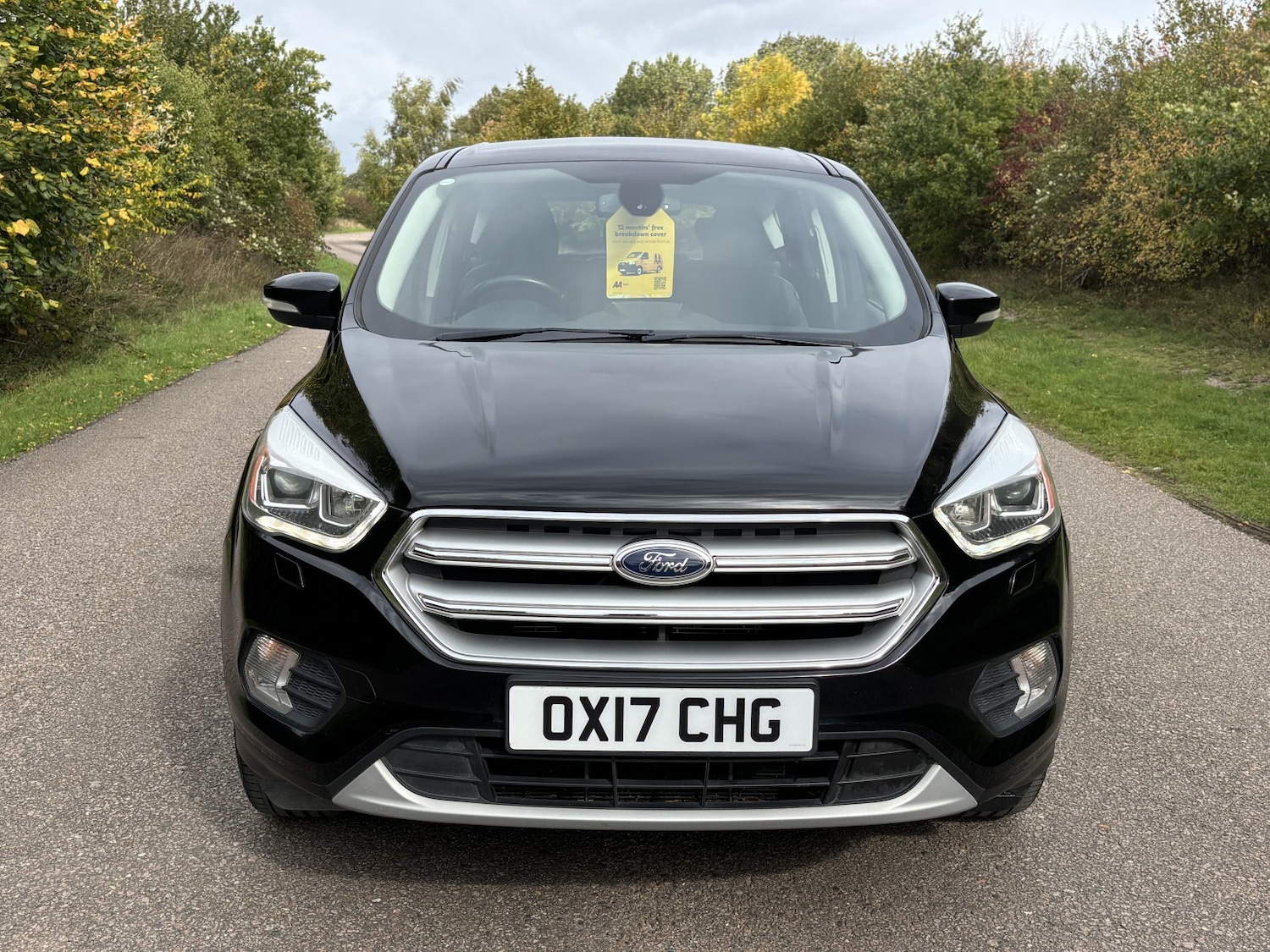 Used Ford Kuga 2017 for sale - 76181093: Photo 7