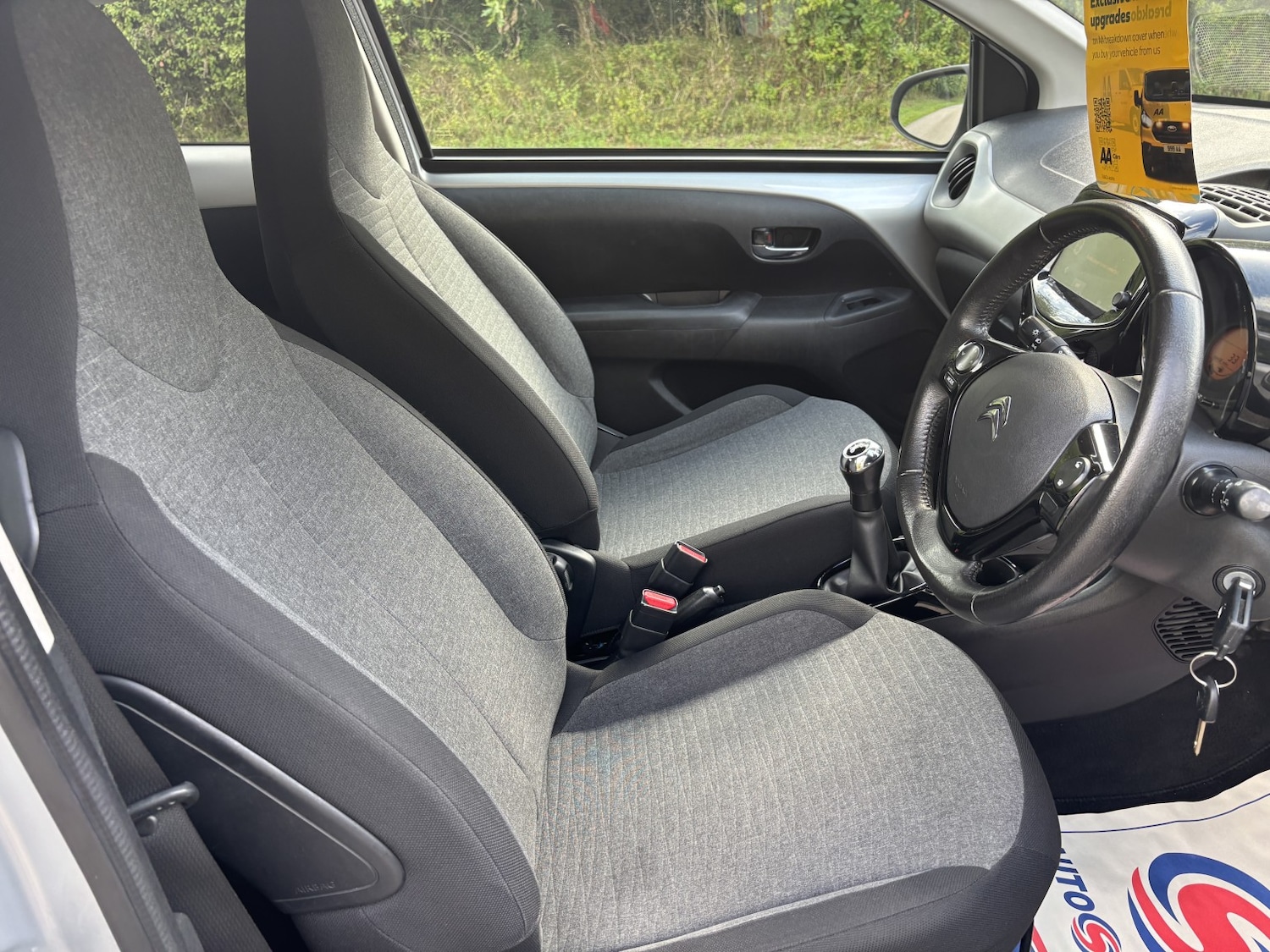 Vehicle 29