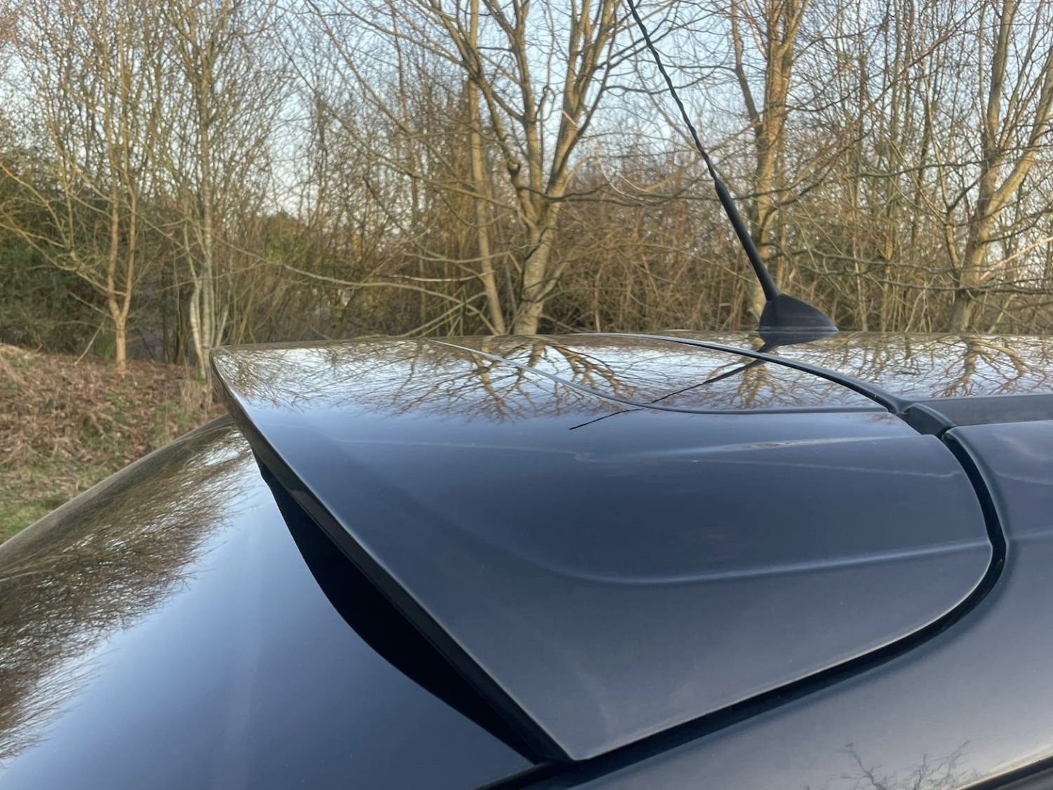 Used Ford Focus 2013 for sale - 77675658: Photo 19