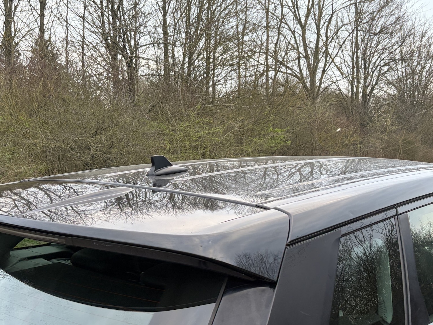 Used Land Rover Range Rover Evoque 2016 for sale - 77742851: Photo 14