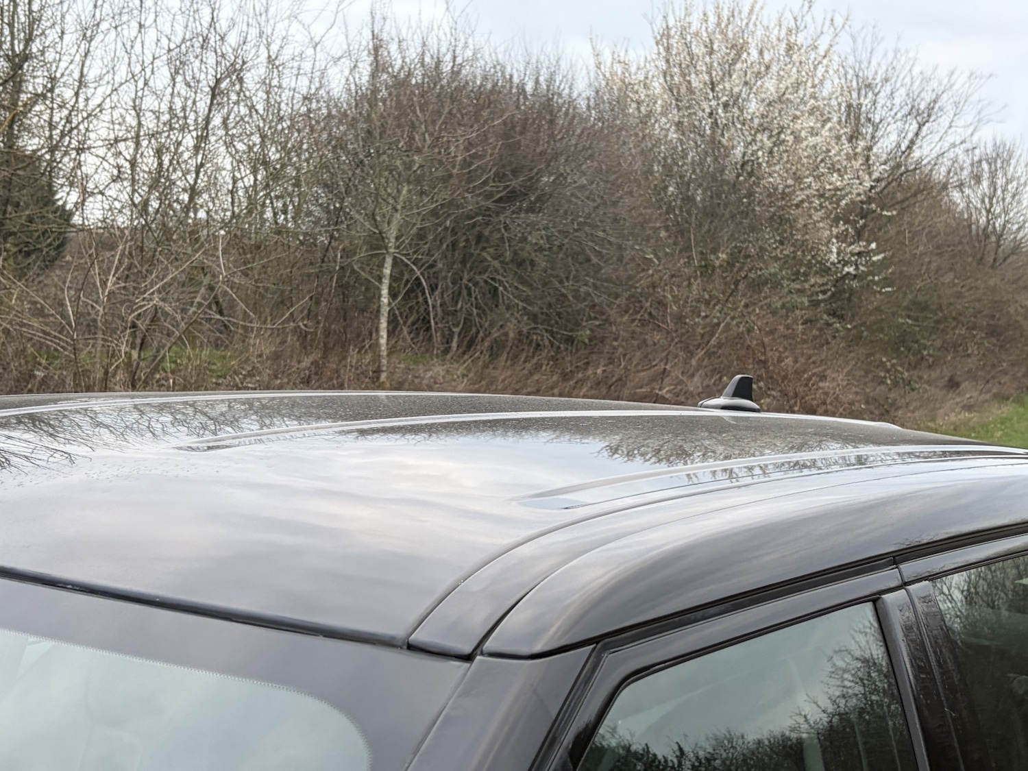 Used Land Rover Range Rover Evoque 2016 for sale - 77742851: Photo 23