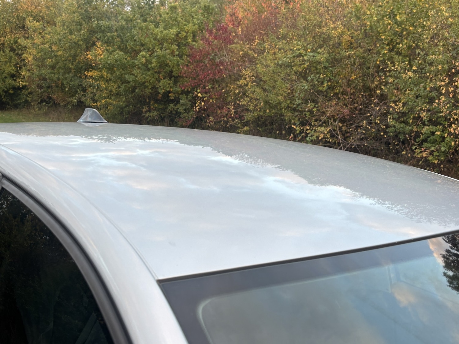 Used Volkswagen Polo 2010 for sale - 76231001: Photo 18