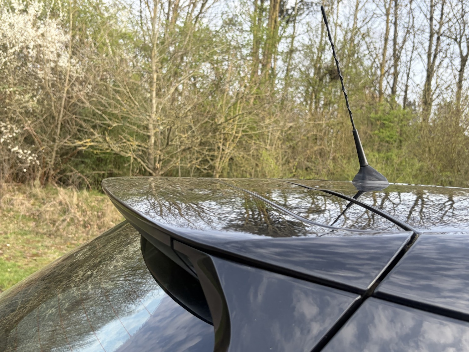 Used Nissan Micra 2017 for sale - 78031691: Photo 16