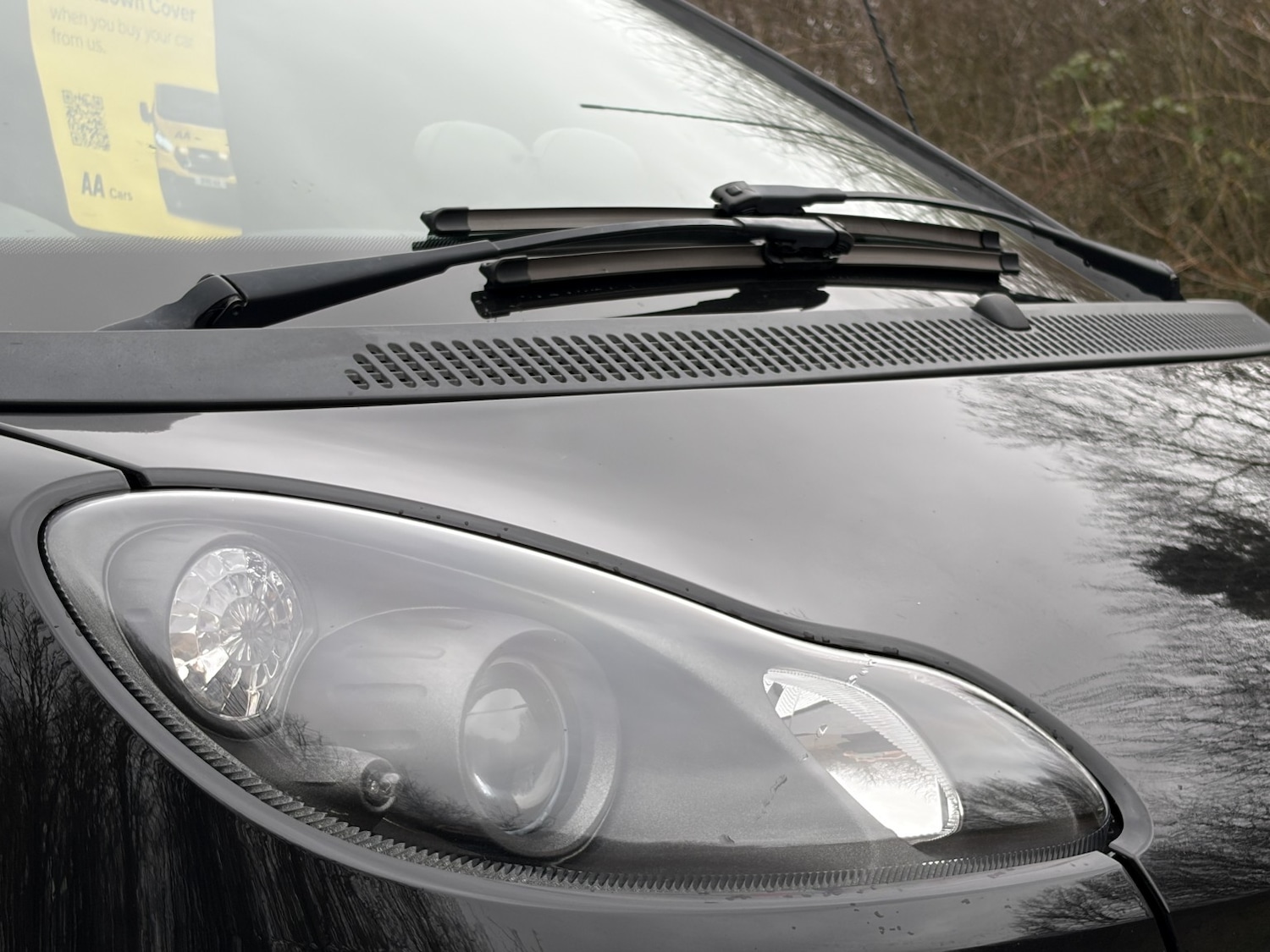 Used smart fortwo 2014 for sale - 77638636: Photo 19