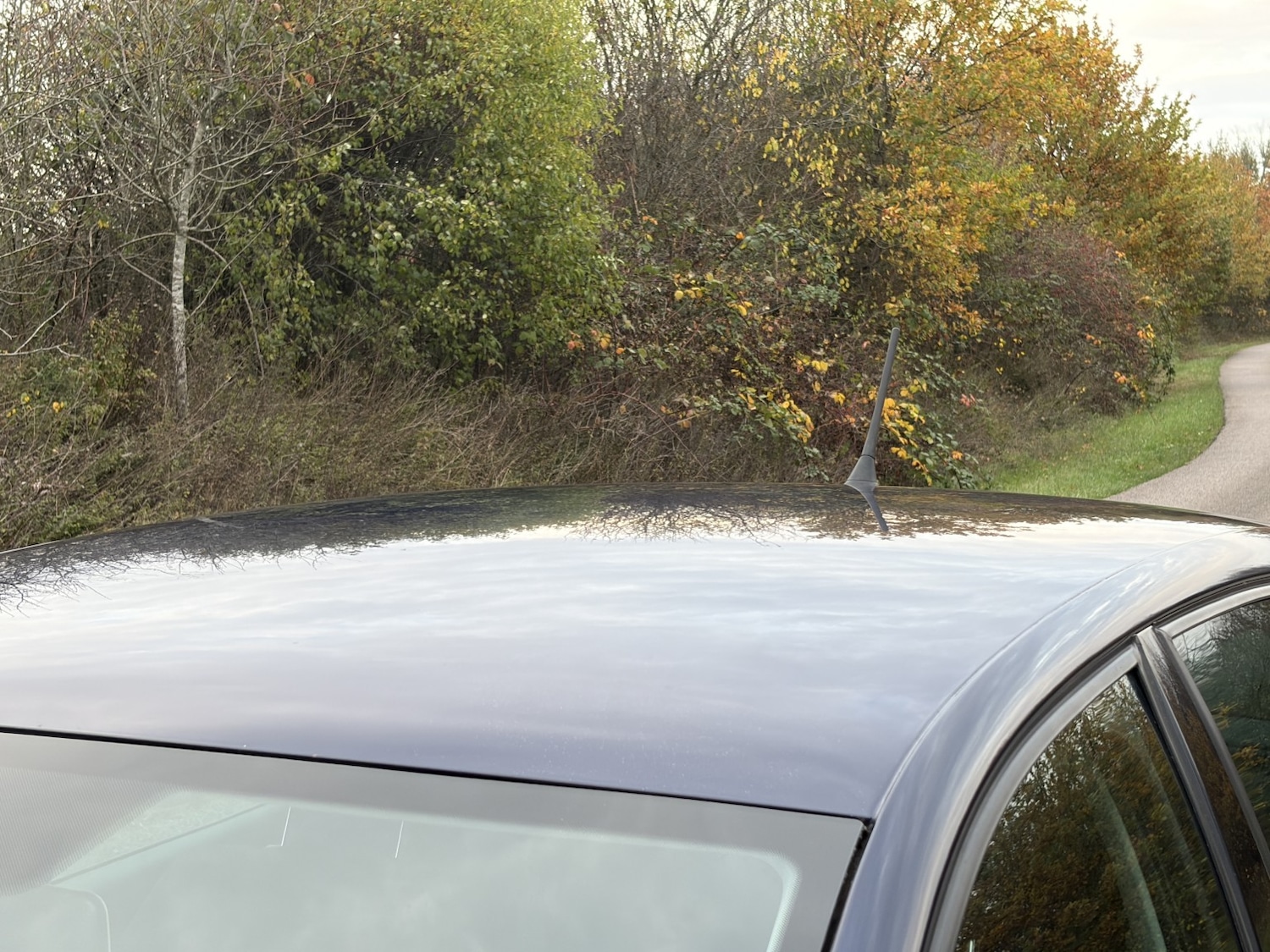 Used Volkswagen Polo 2014 for sale - 76769921: Photo 21