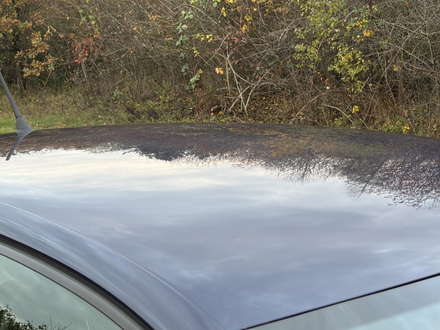 Used Volkswagen Polo 2014 for sale - 76769921: Photo 22