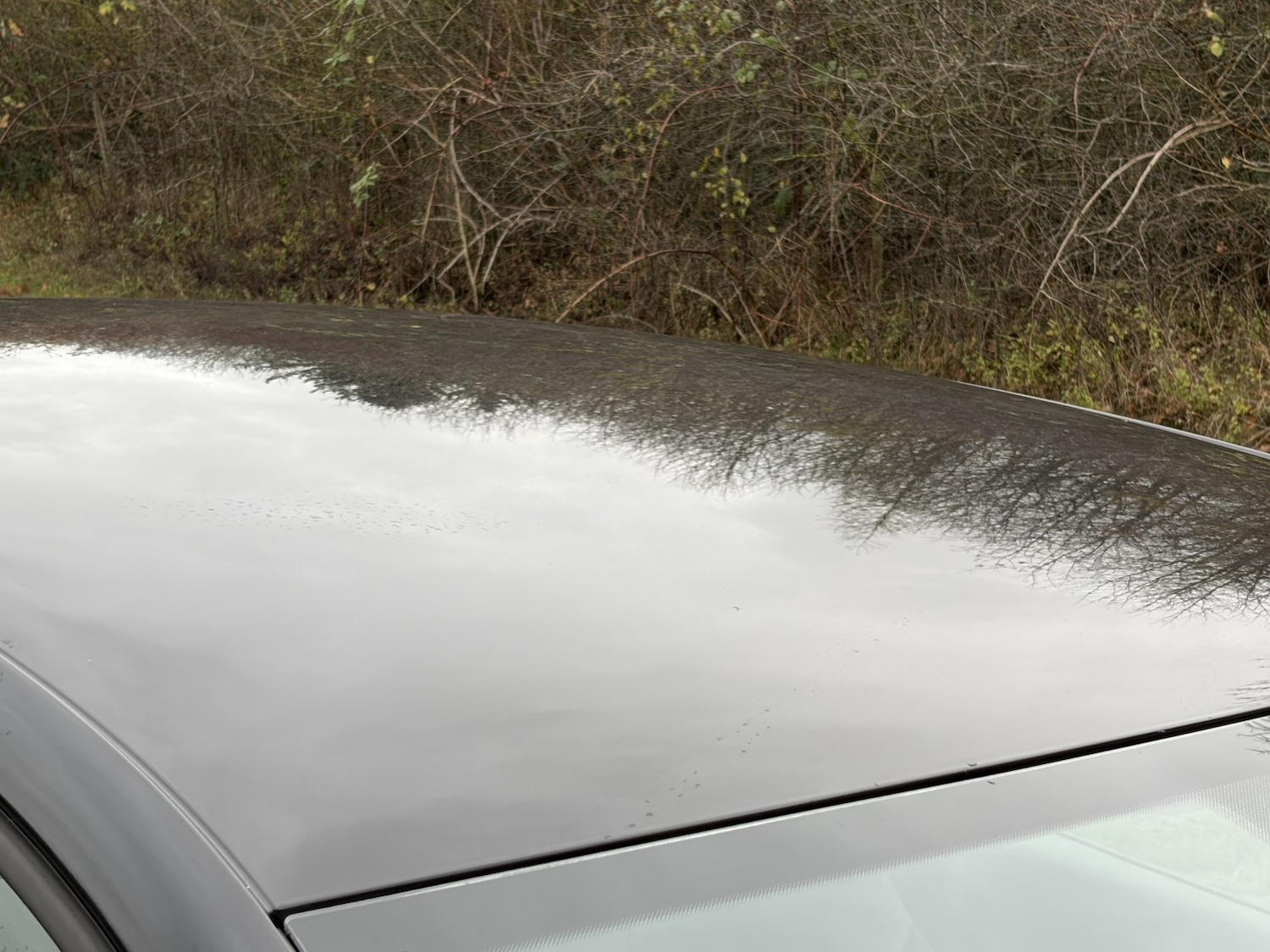 Used Volkswagen Polo 2010 for sale - 76692799: Photo 16