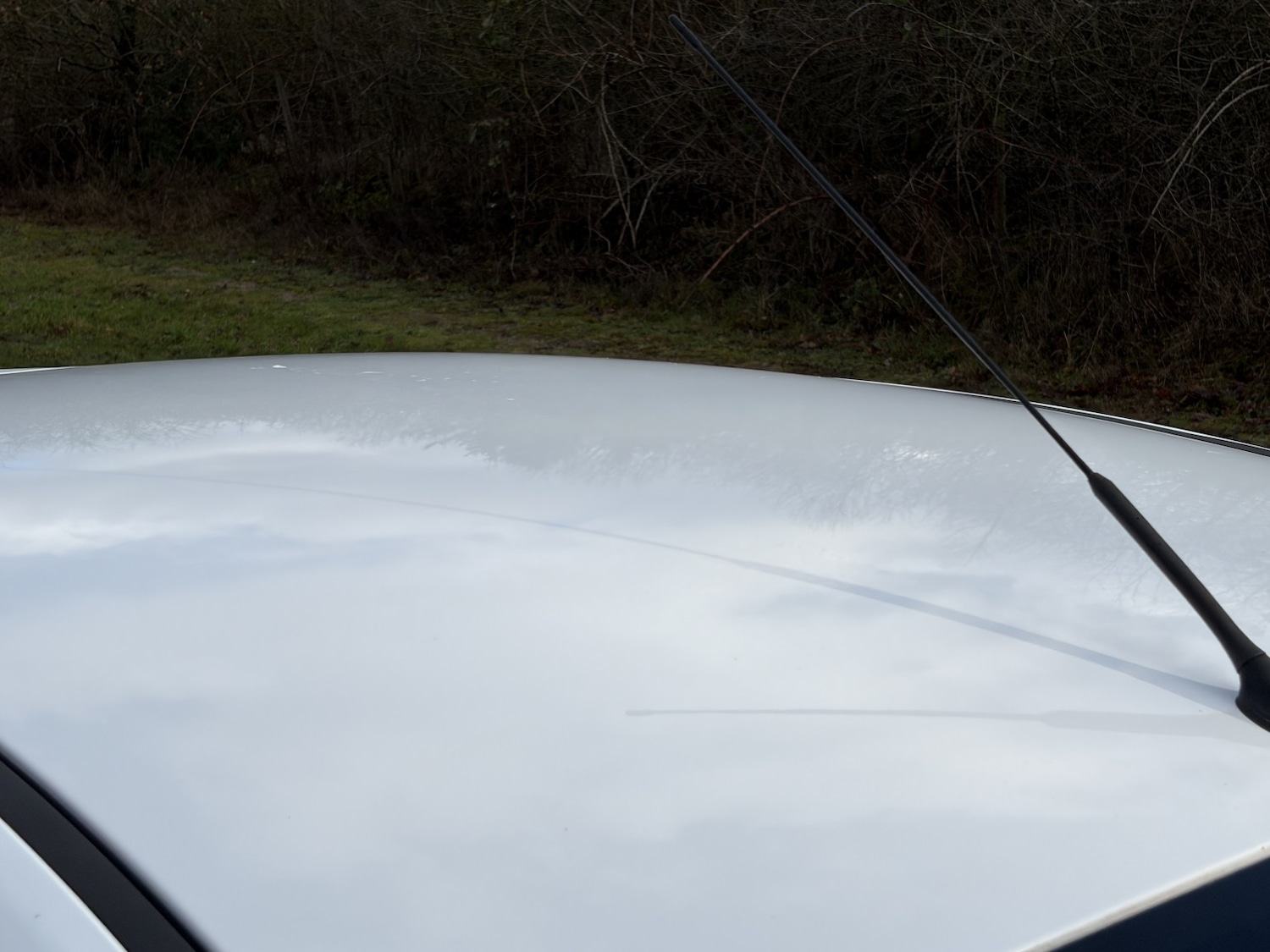 Used Ford Fiesta 2017 for sale - 77318333: Photo 15