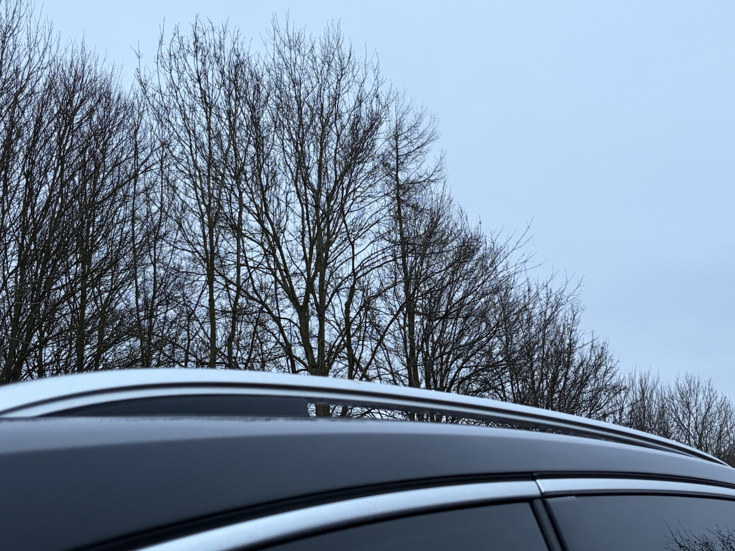 Used Volkswagen Sharan 2019 for sale - 77061426: Photo 19