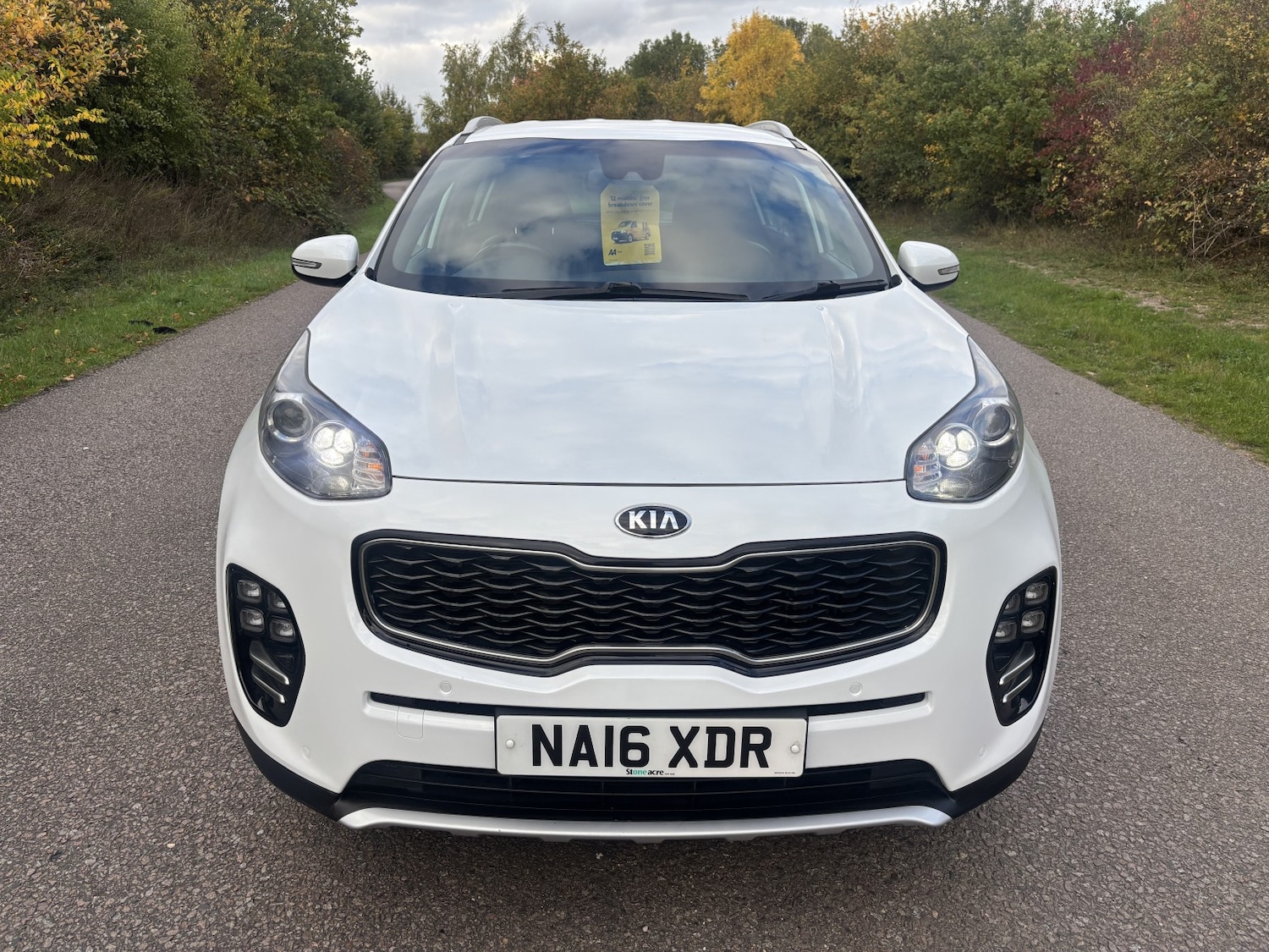 Used Kia Sportage 2016 for sale - 76231013: Photo 7