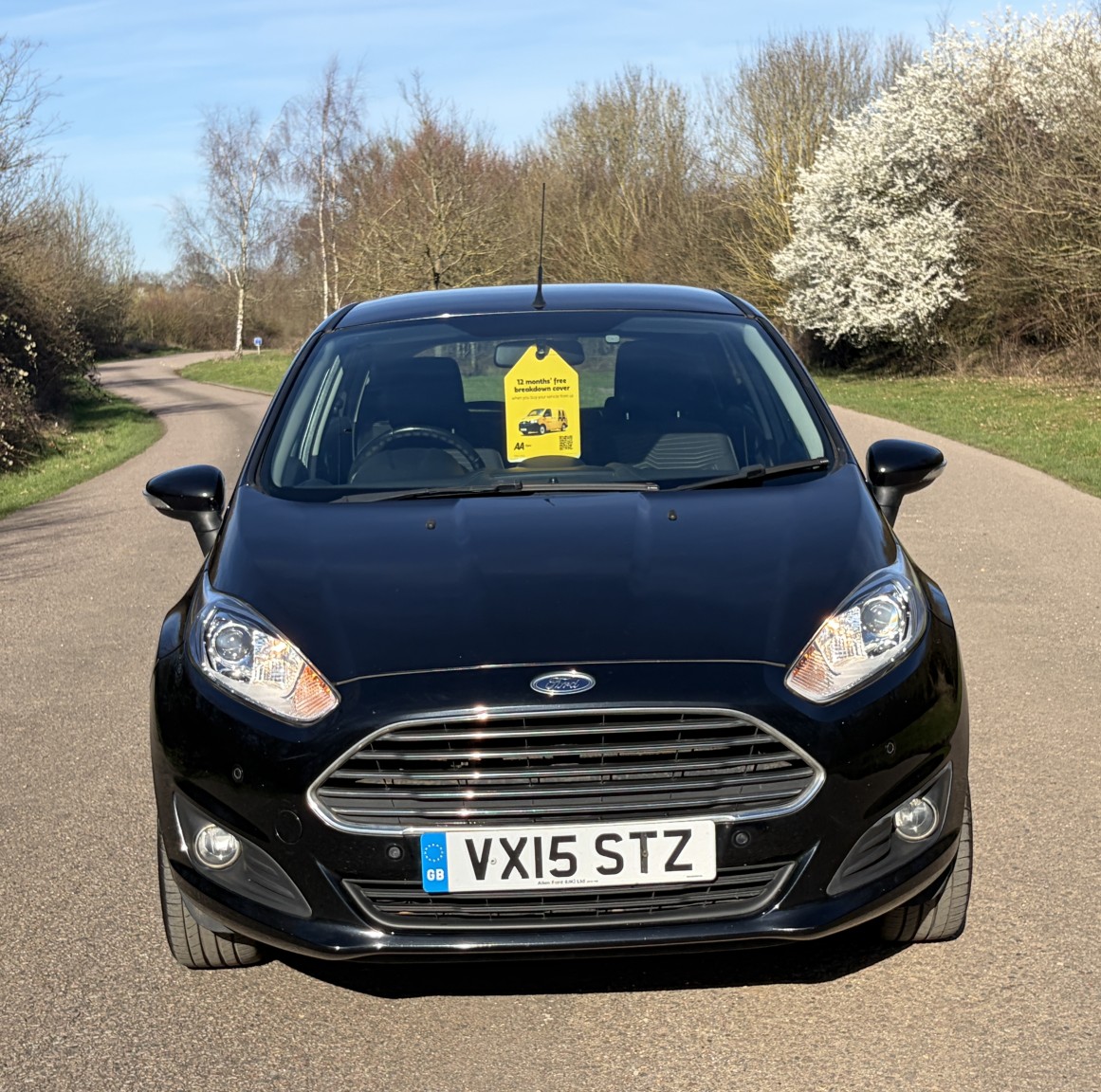 Used Ford Fiesta 2015 for sale - 77774723: Photo 5
