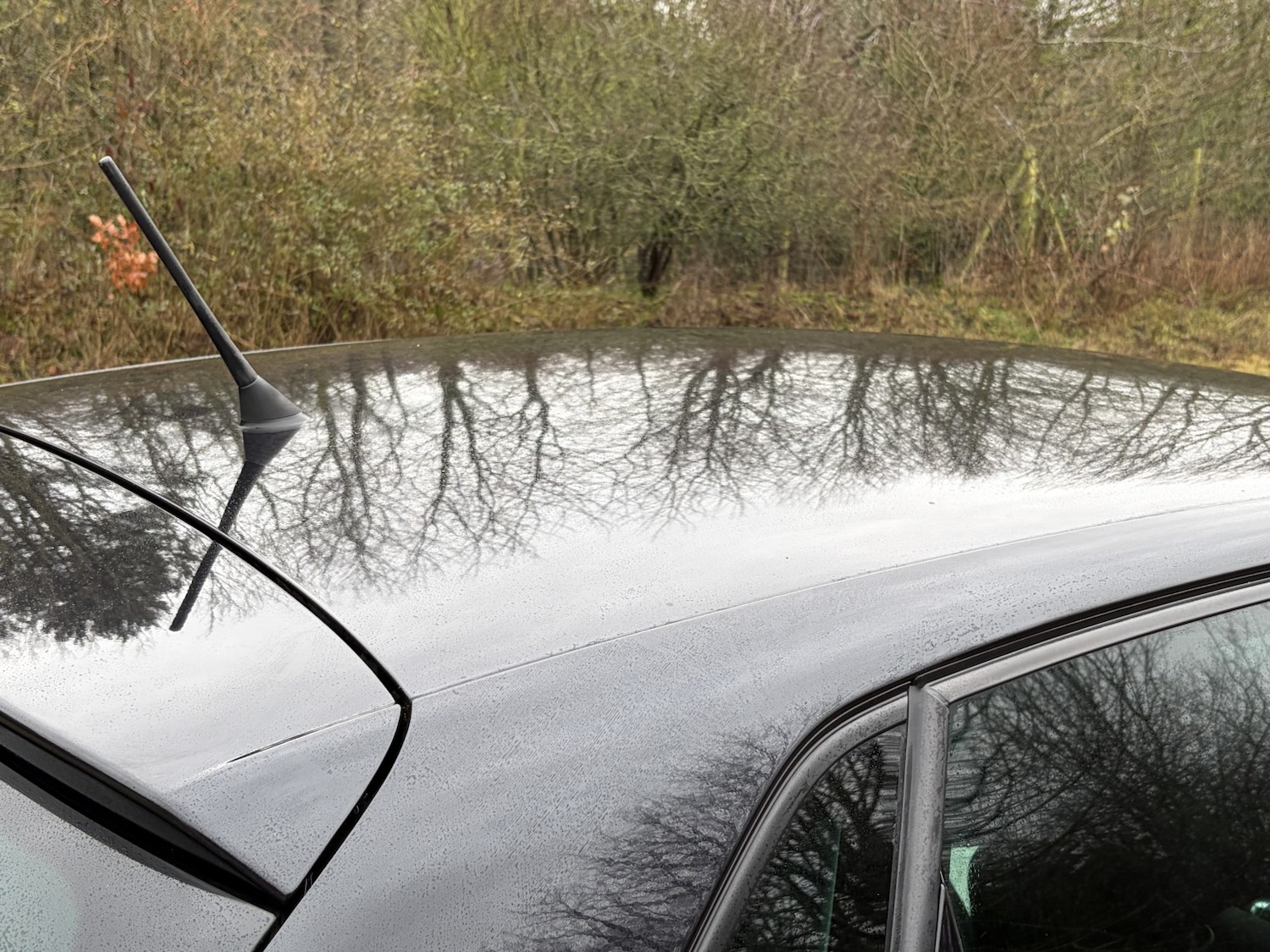 Used Volkswagen Polo 2011 for sale - 77318337: Photo 14