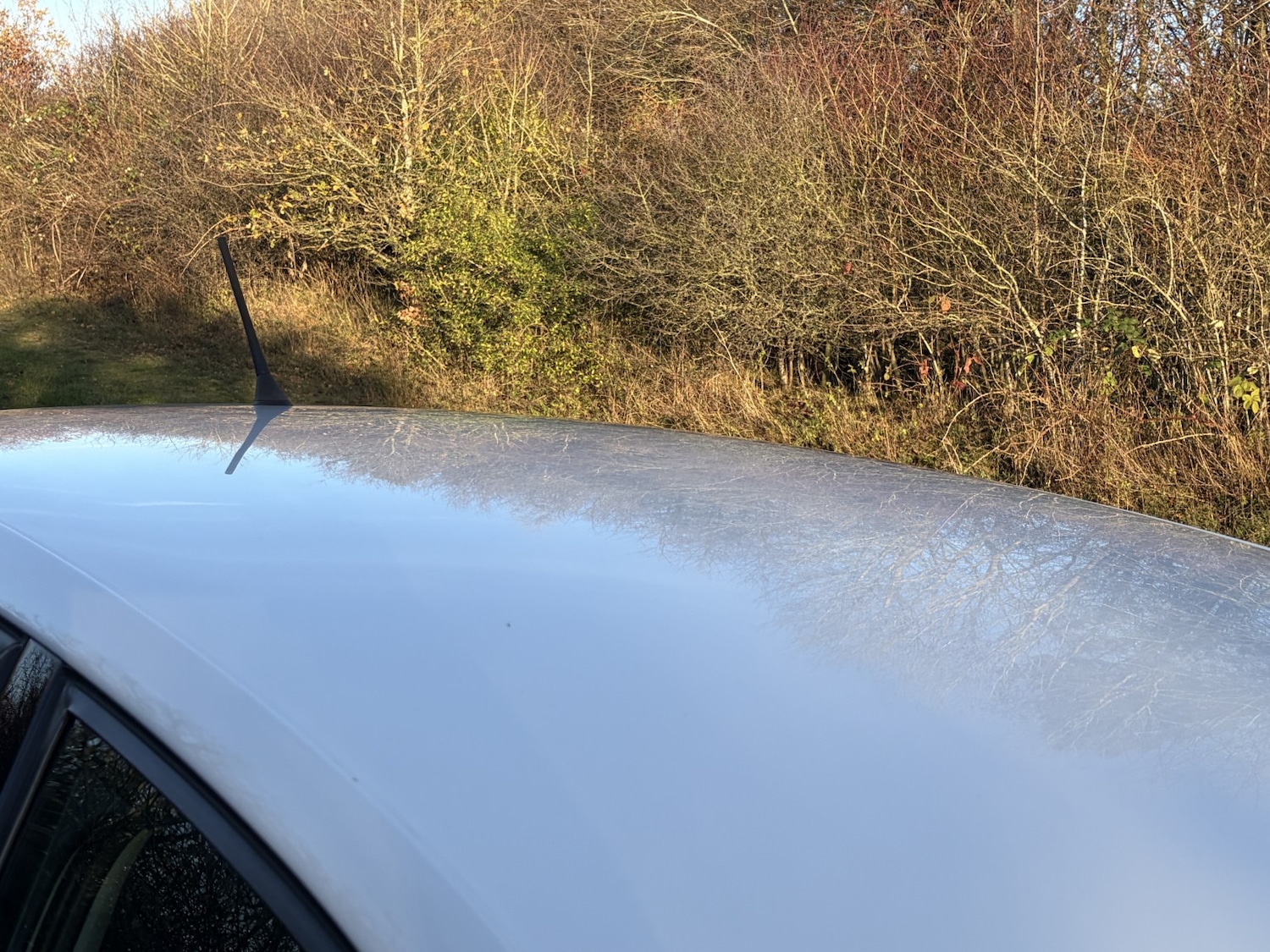 Used Volkswagen Polo 2012 for sale - 76830358: Photo 10