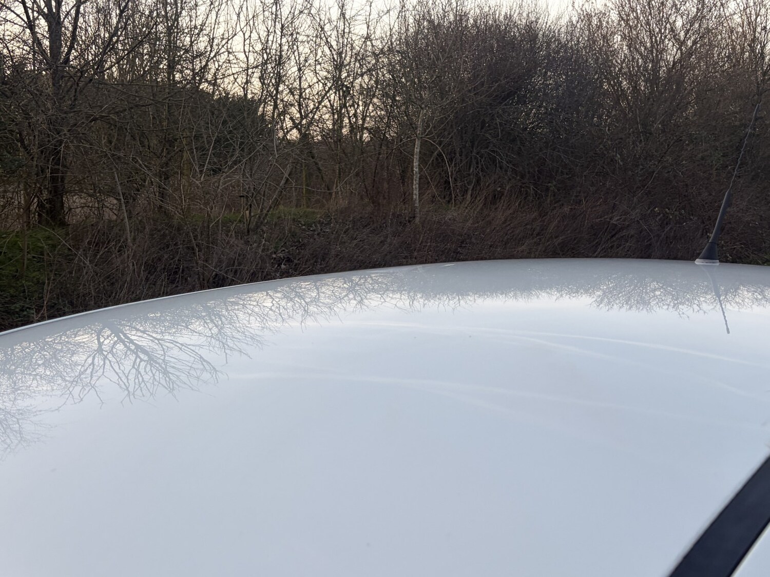 Used Fiat Panda 2014 for sale - 77675661: Photo 18