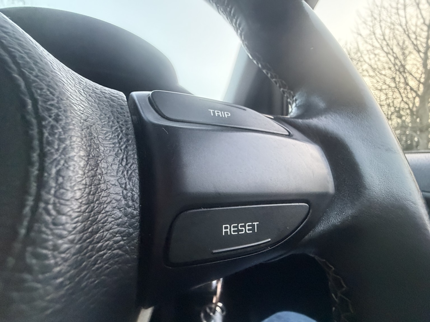 Used Kia Picanto 2018 for sale - 77774704: Photo 41