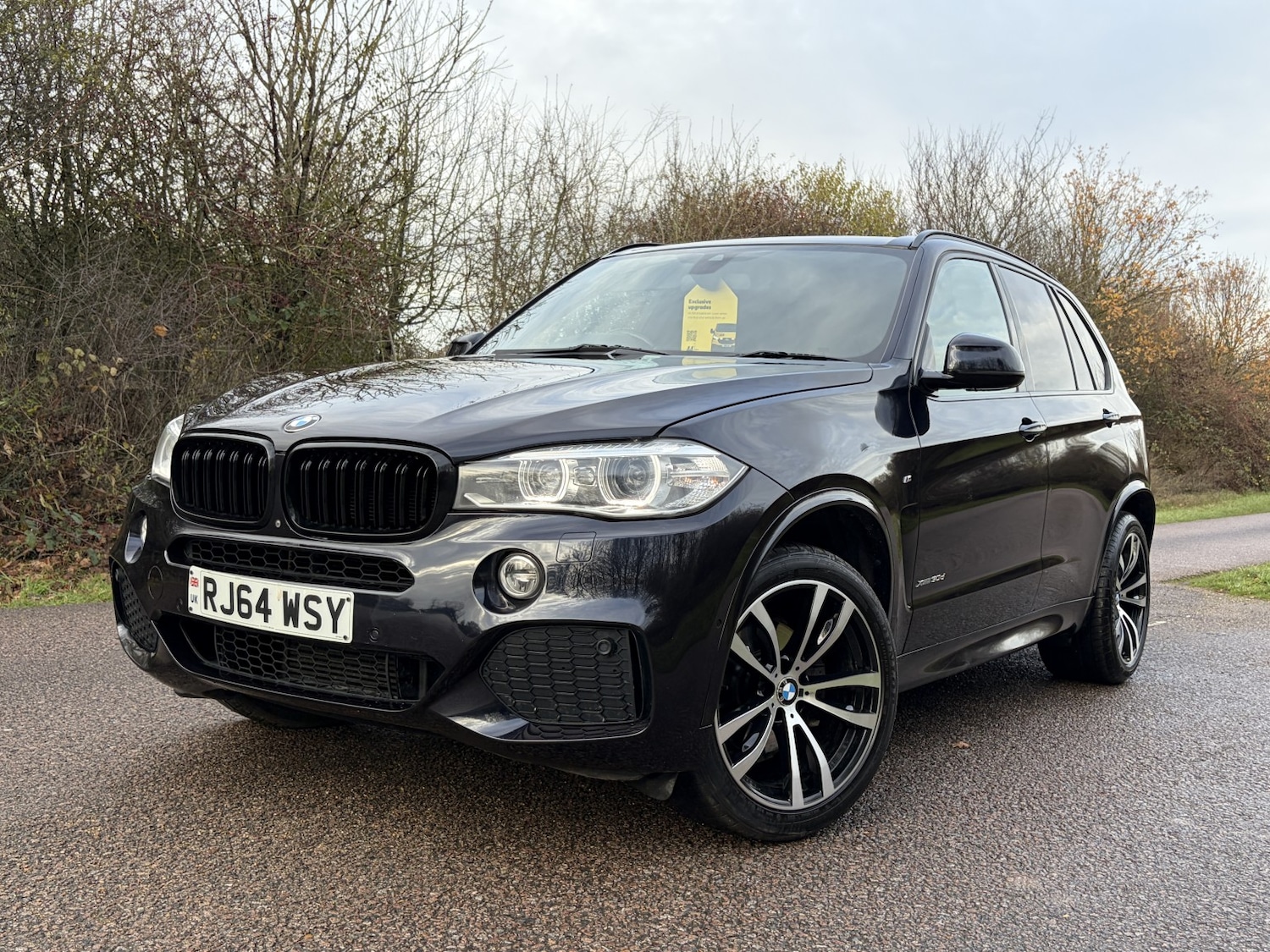 Used BMW X5 2015 for sale - 76904657: Photo 9