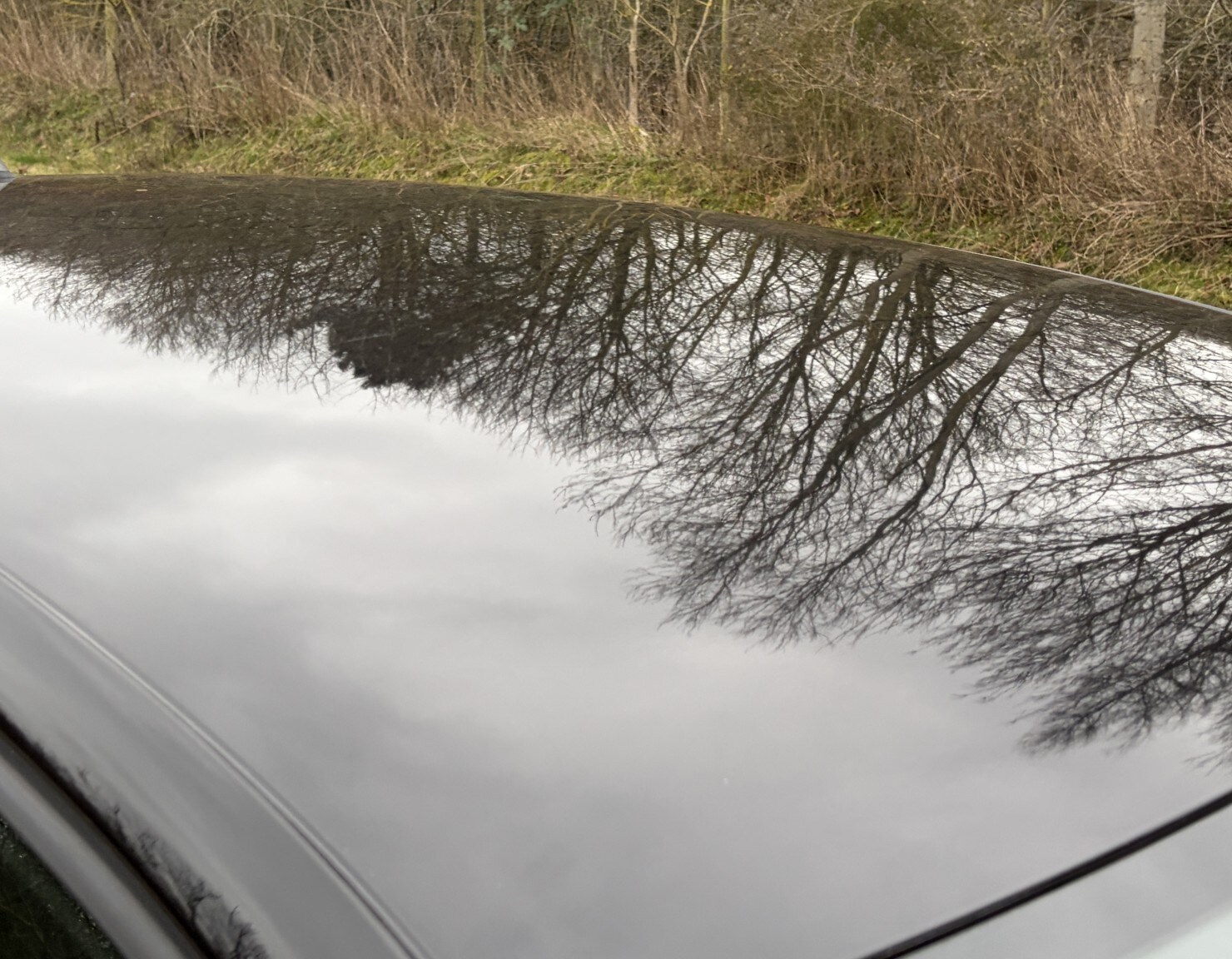 Used Volkswagen Polo 2011 for sale - 77603394: Photo 16