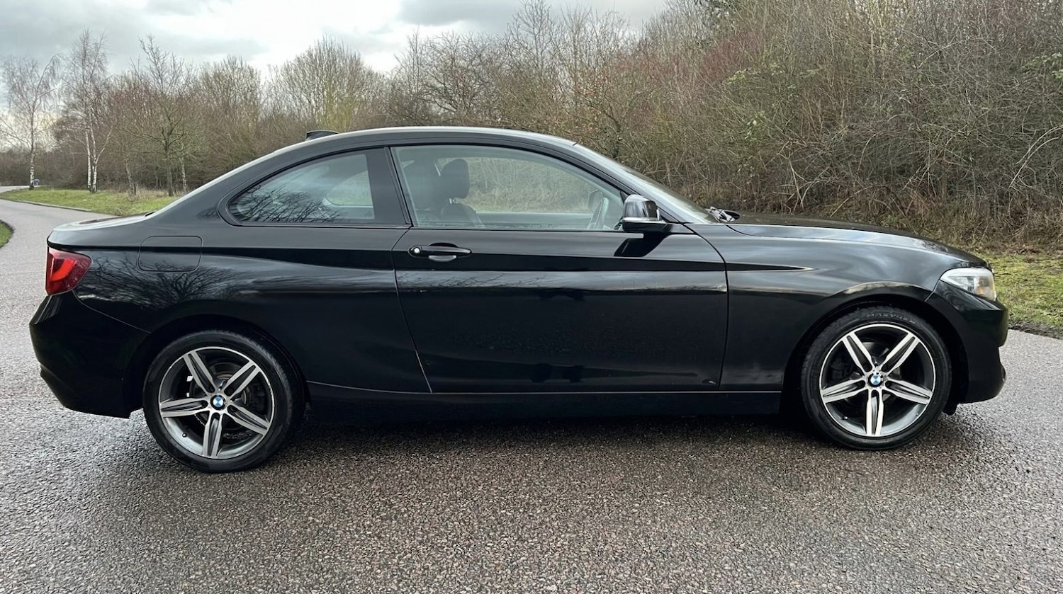 Used BMW 2 Series 2016 for sale - 77318319: Photo 12