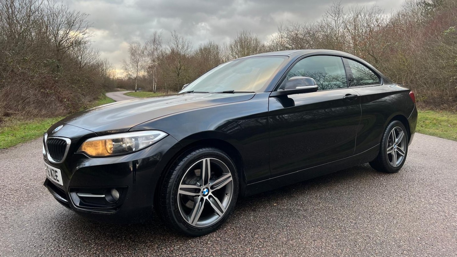 Used BMW 2 Series 2016 for sale - 77318319: Photo 14