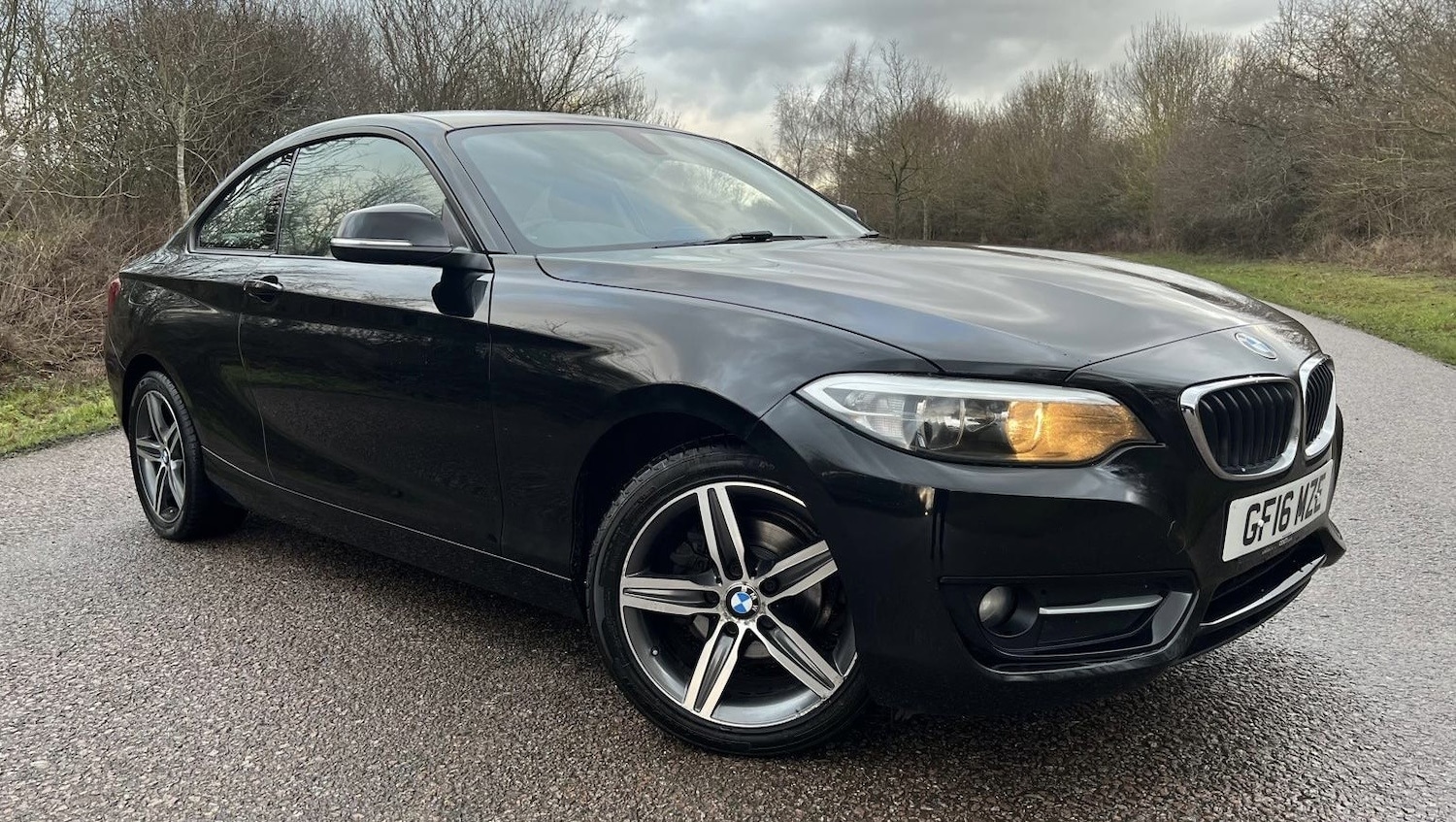 Used BMW 2 Series 2016 for sale - 77318319: Photo 2