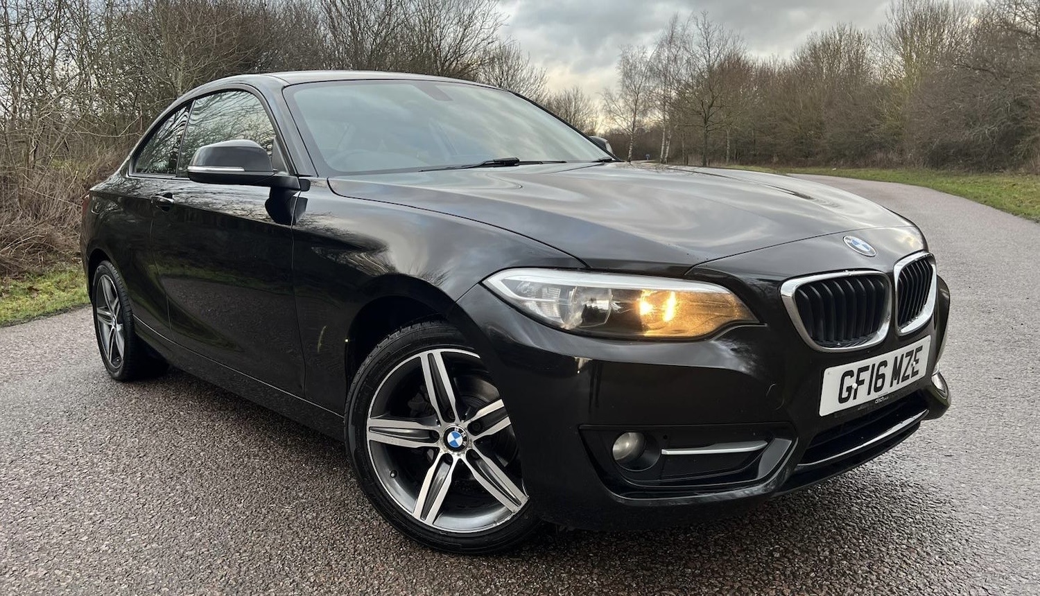 Used BMW 2 Series 2016 for sale - 77318319: Photo 4